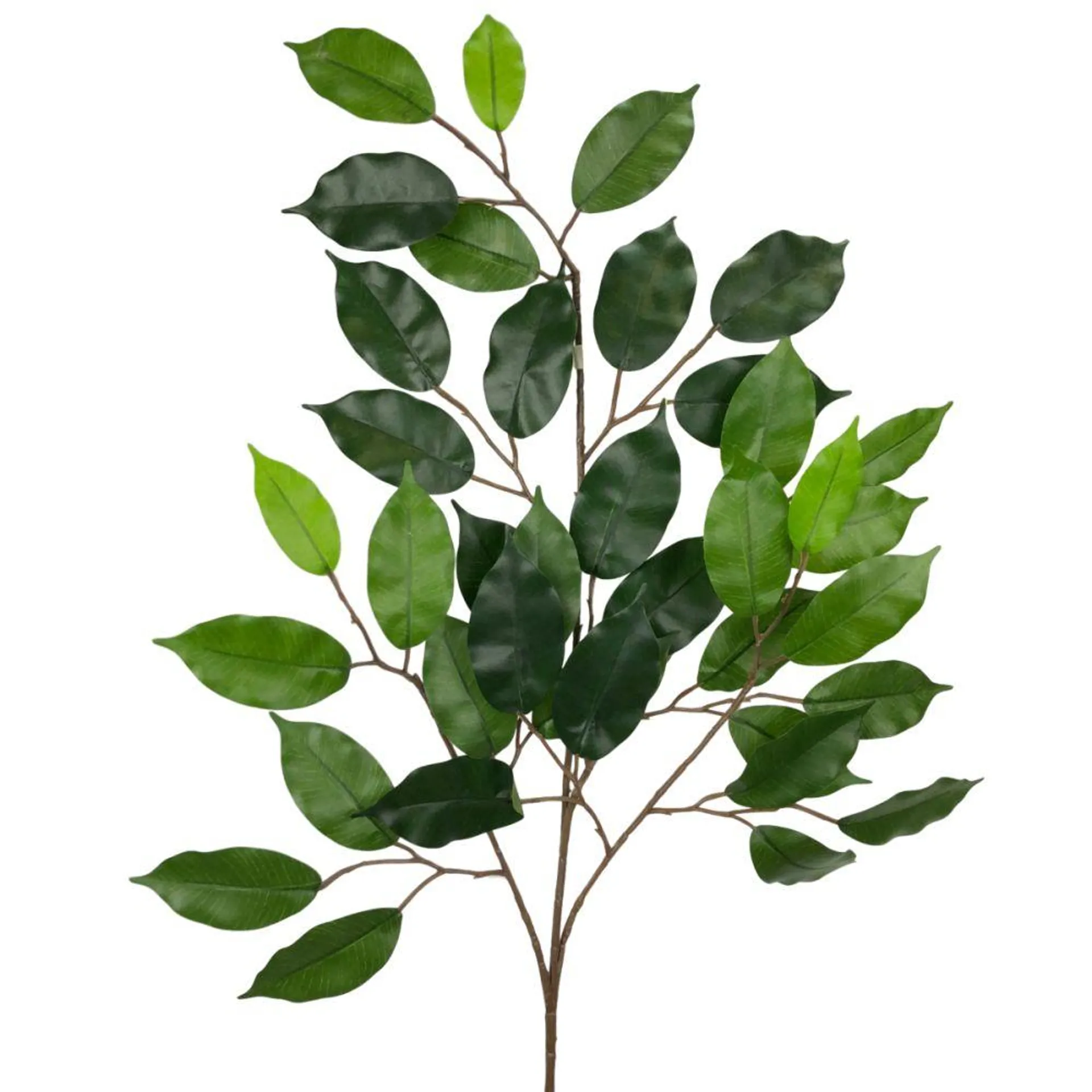 Ficus Leaf Spray 67cm