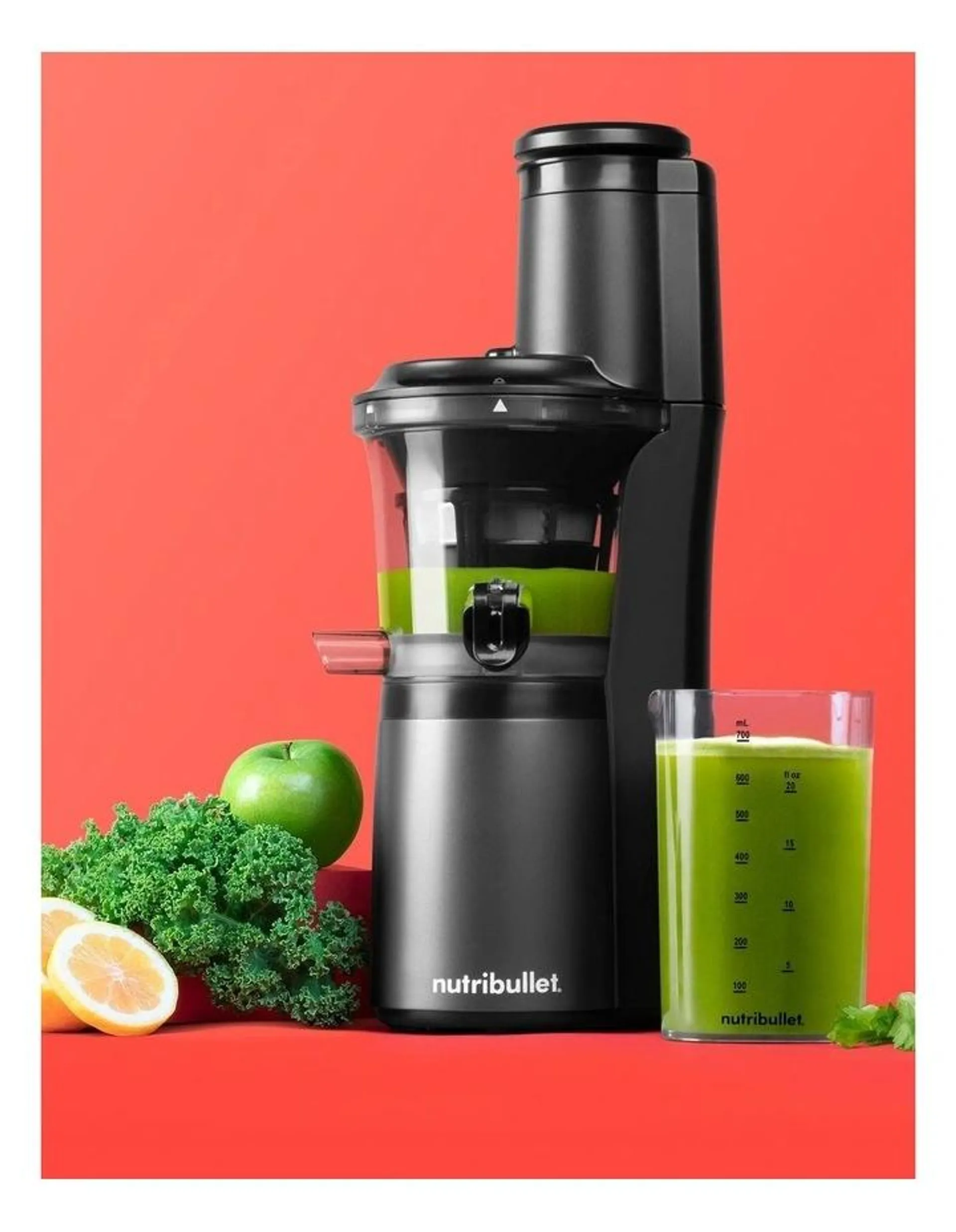 Slow Juicer in Grey (NBJ07300)