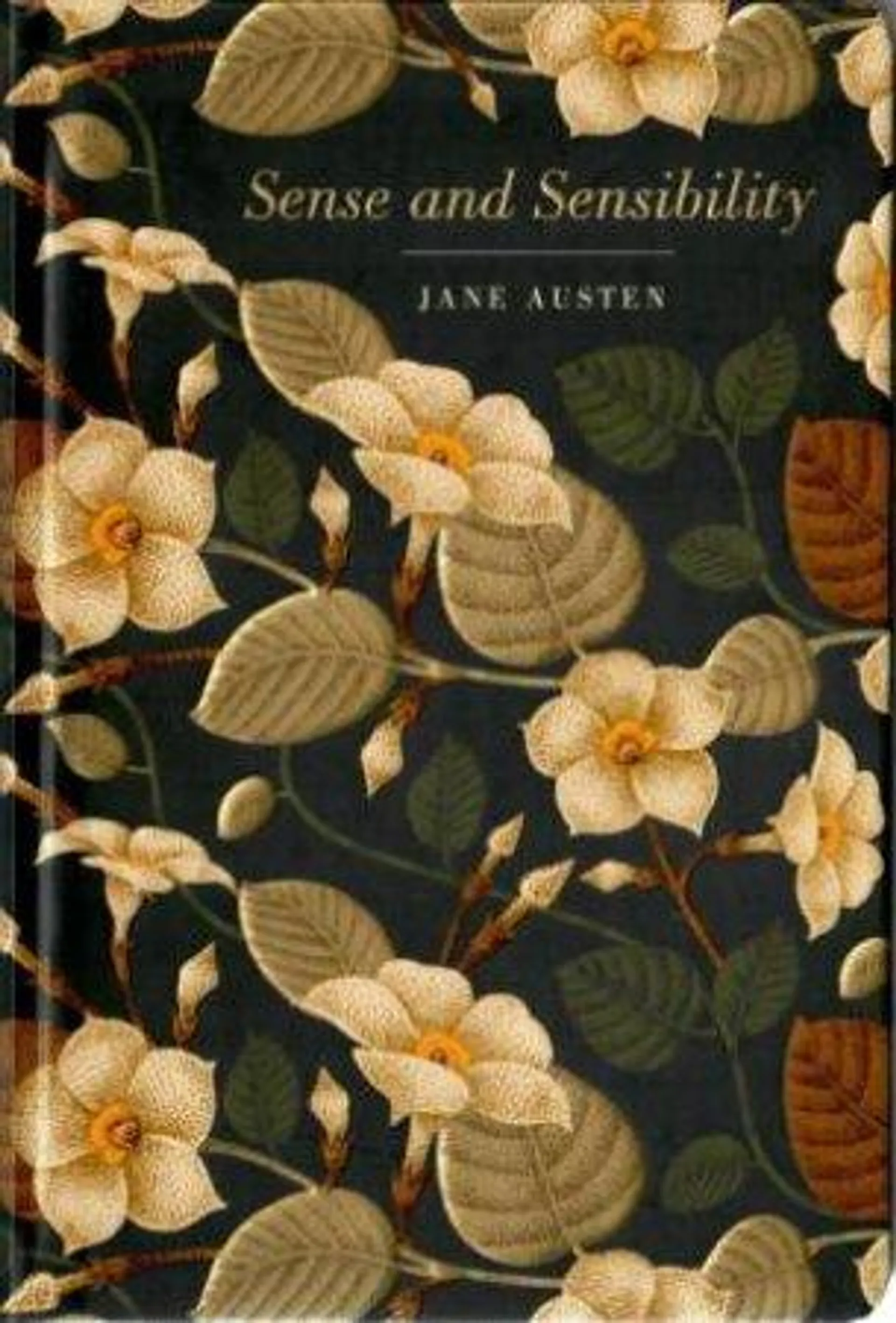 Chiltern Classics: Sense And Sensibility