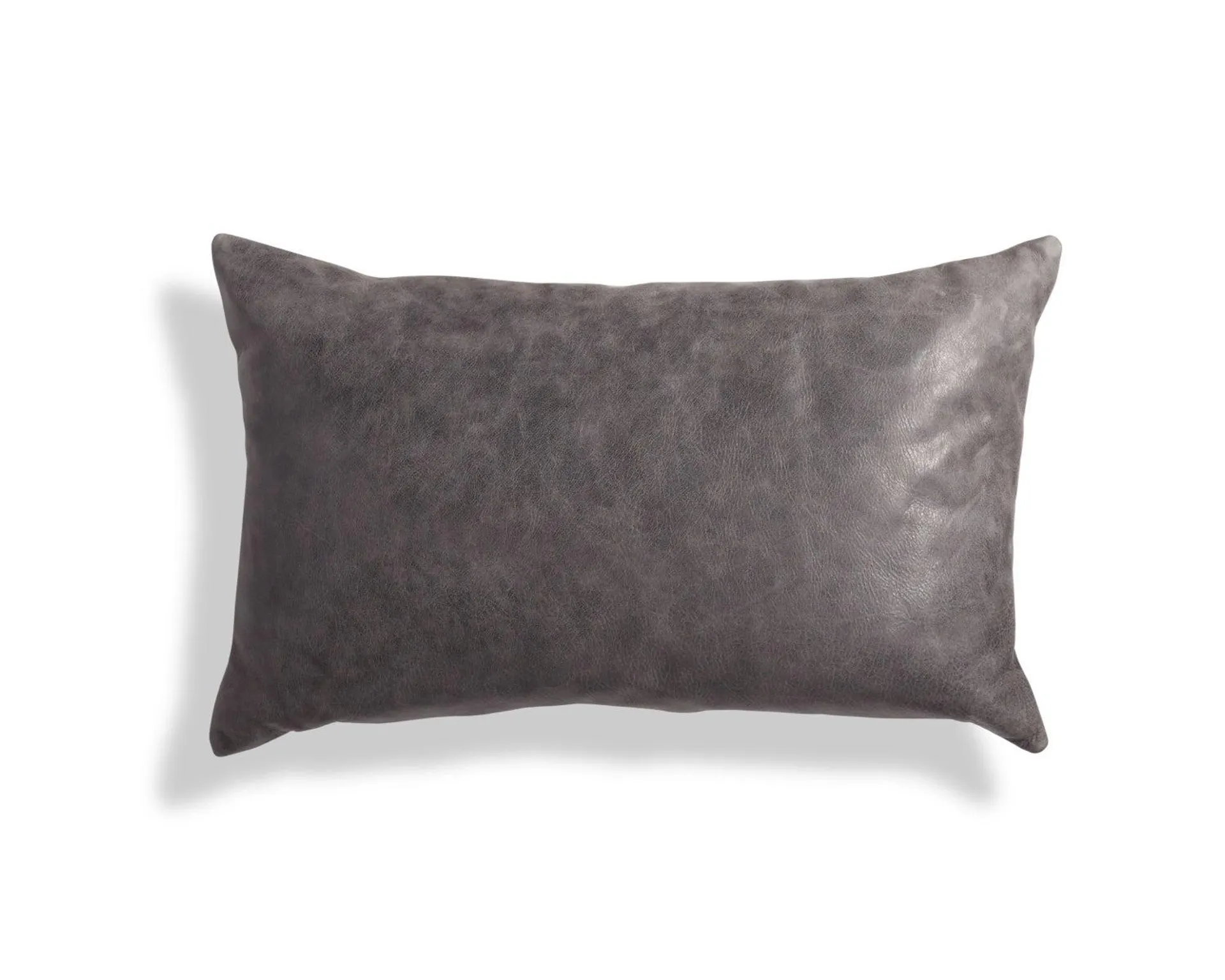 Signal Lumbar Canvas Pillow