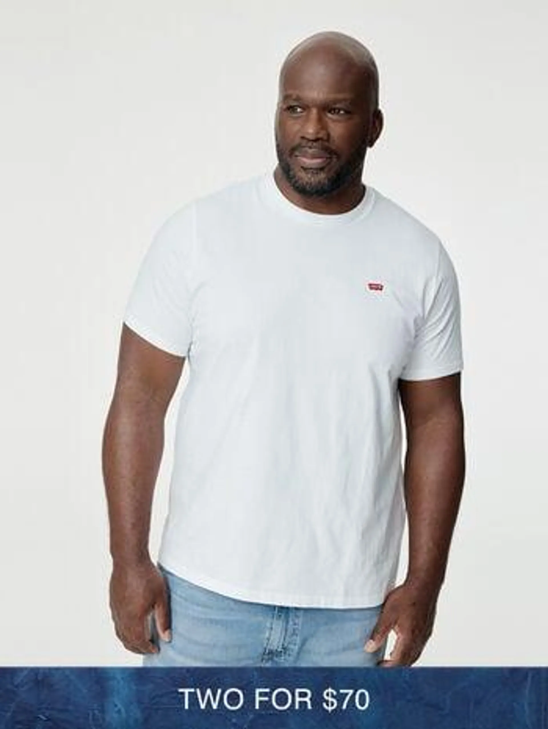 Levi's® Men's Original Housemark T-Shirt (Big)