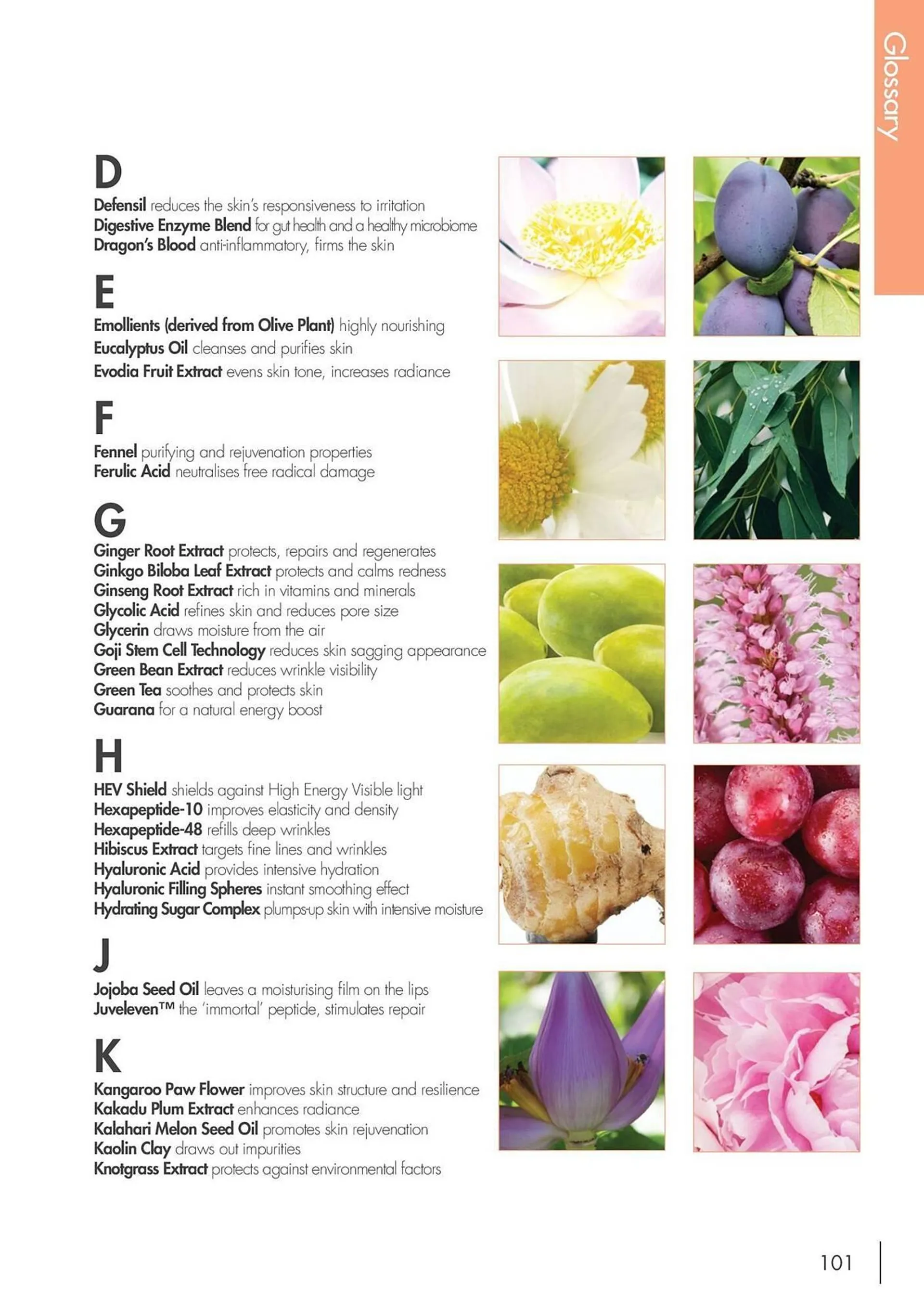 Nutrimetics catalogue - Catalogue valid from 7 August to 31 December 2025 - page 101