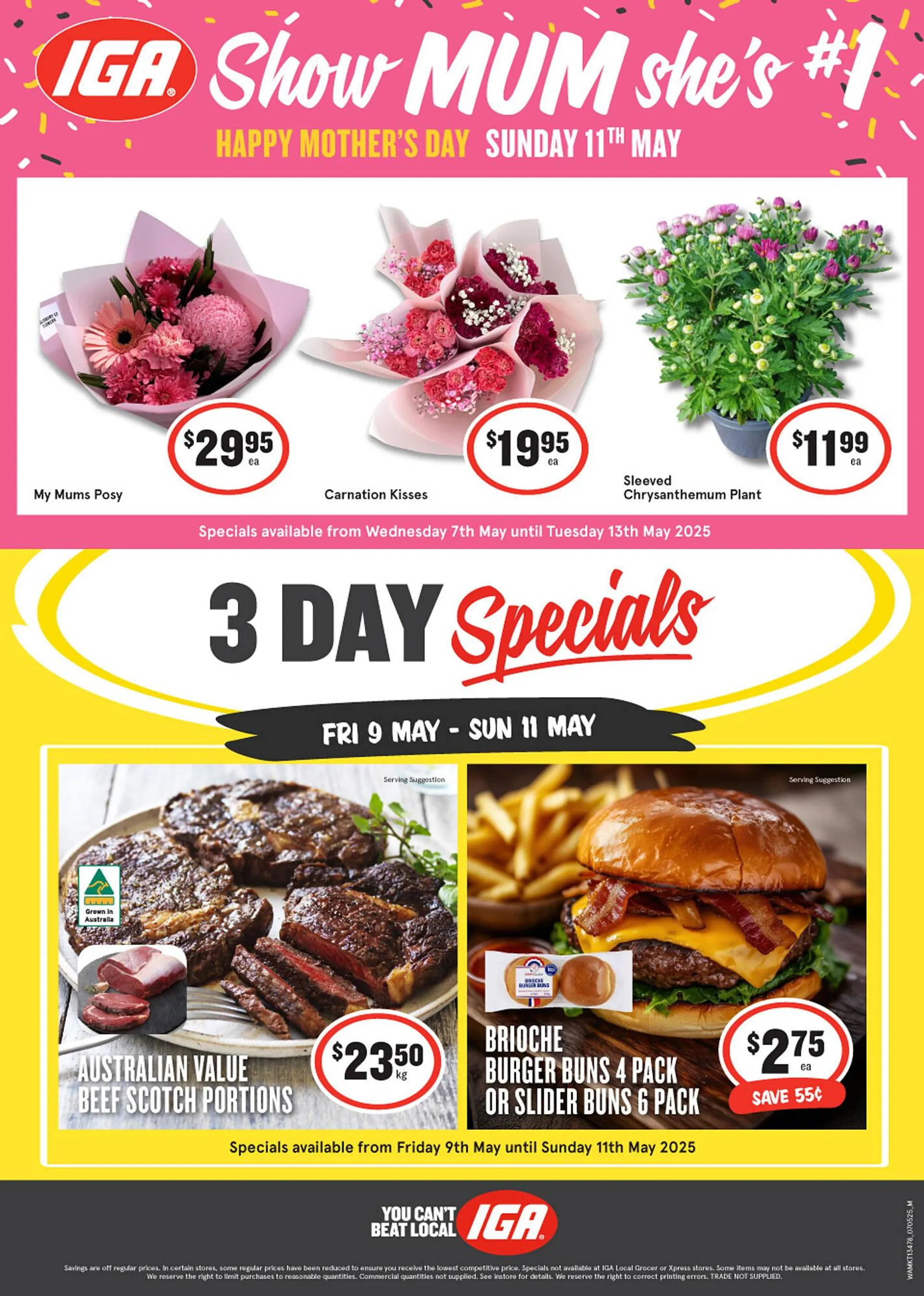 IGA catalogue - 1