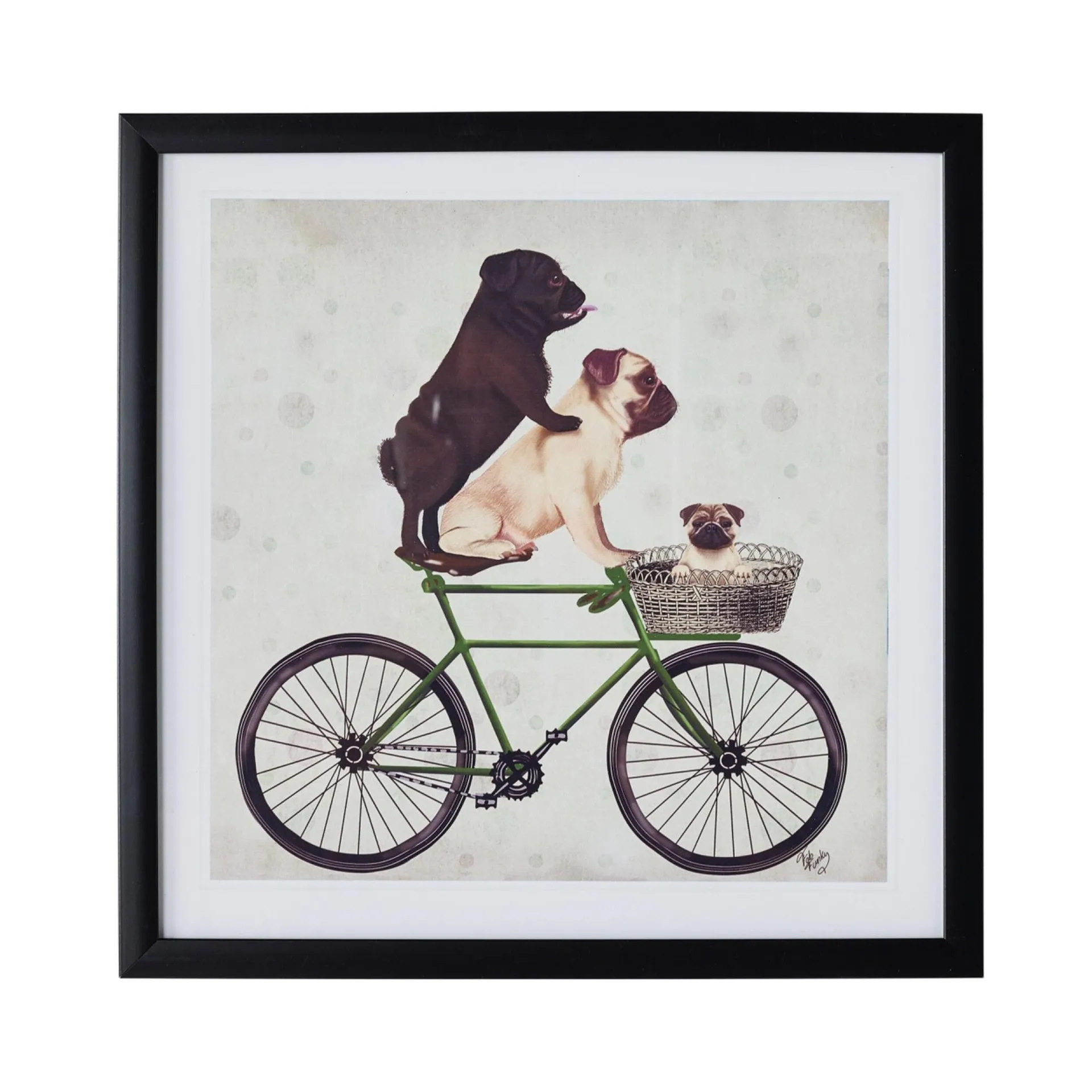 Pugs on a Bicycle Framed Print 41x41cm