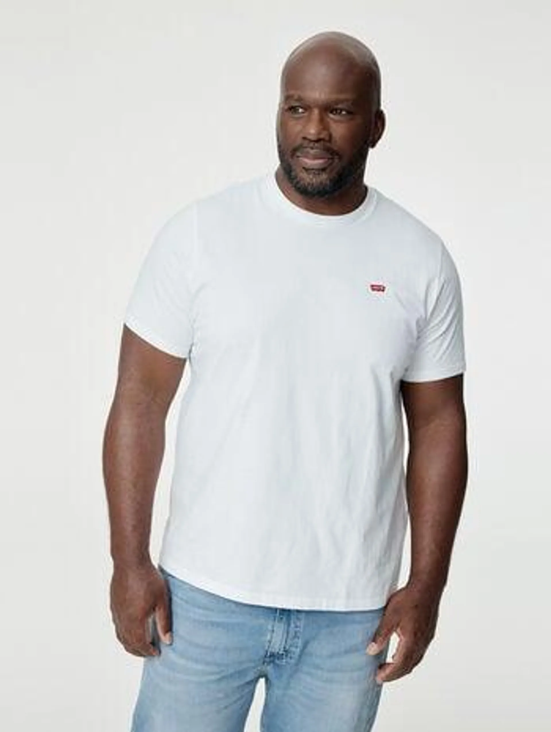 Levi's® Men's Original Housemark T-Shirt (Big)