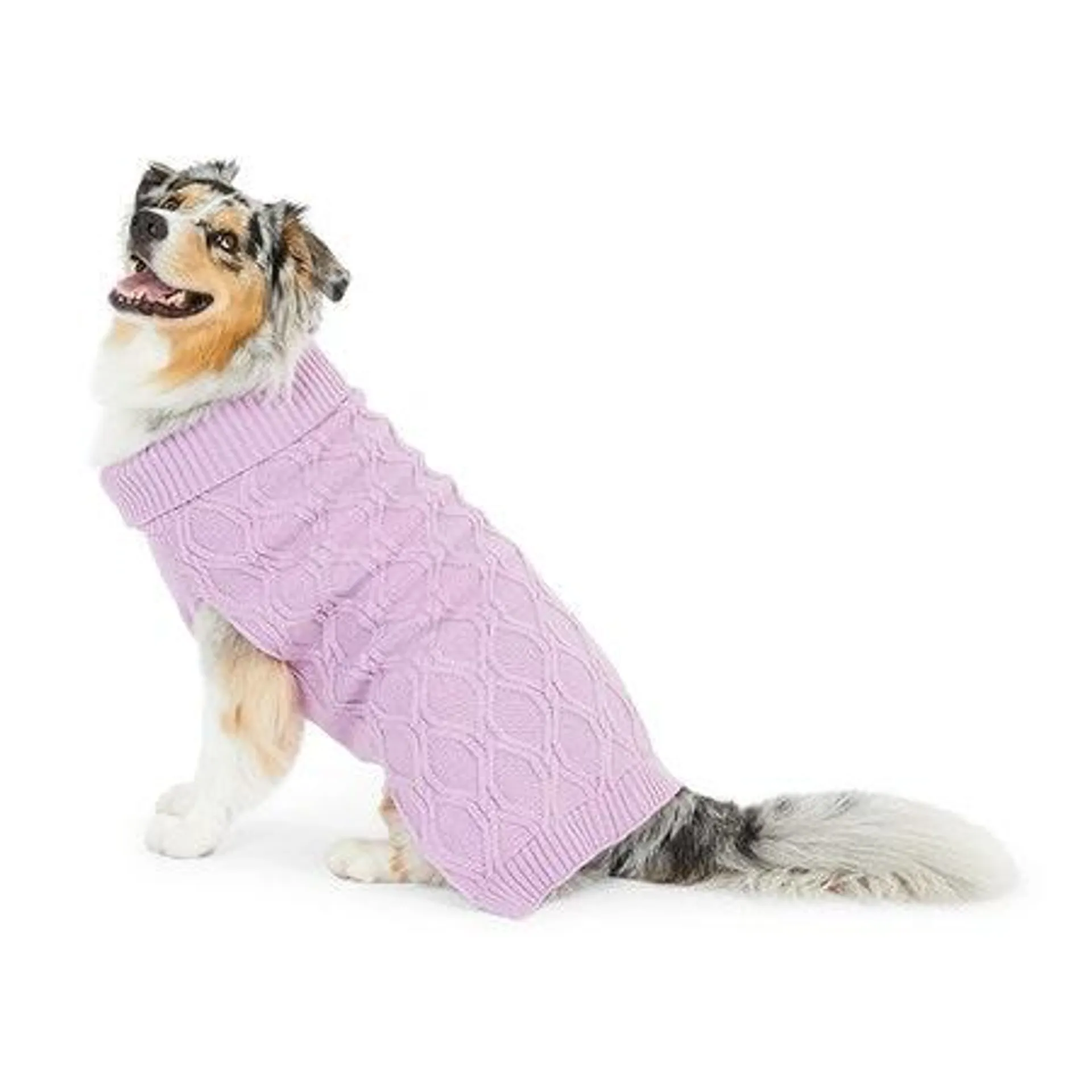 All Day Turtleneck Dog Cable Knit Purple