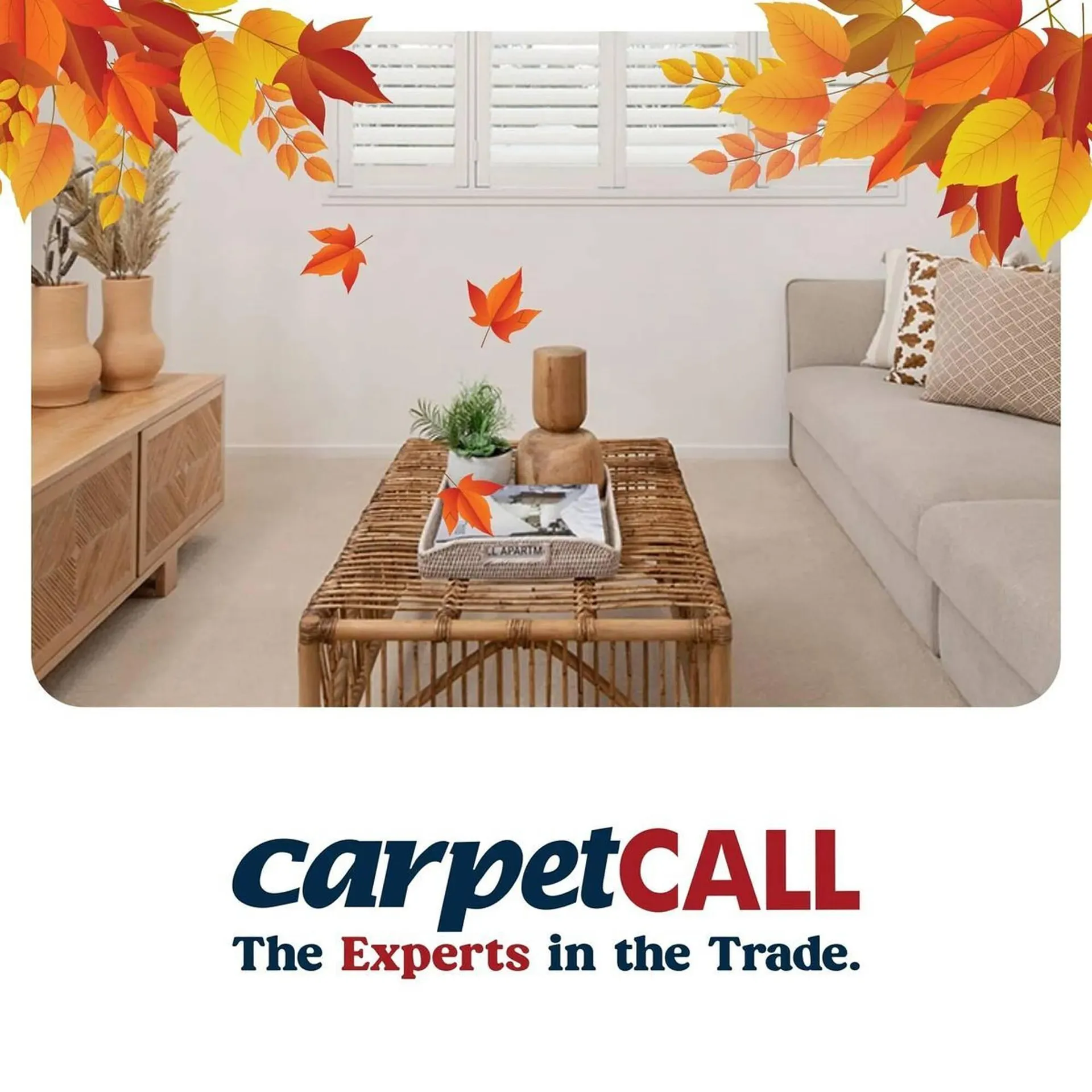 Carpet Call catalogue - 10