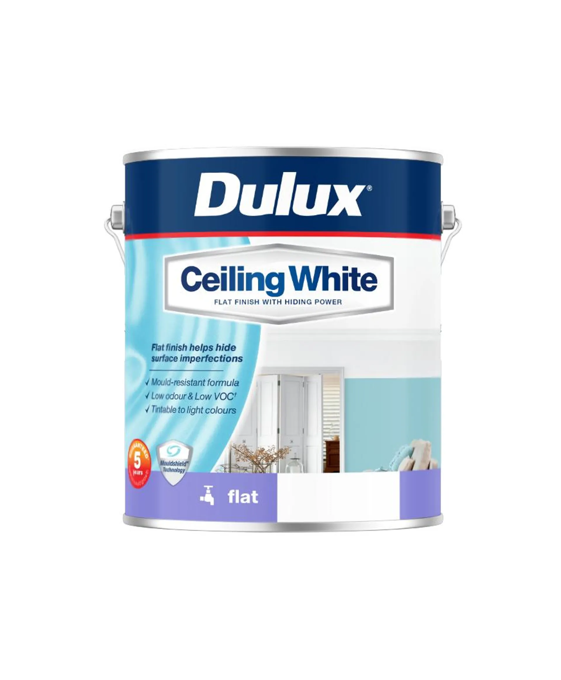 About Ceiling White