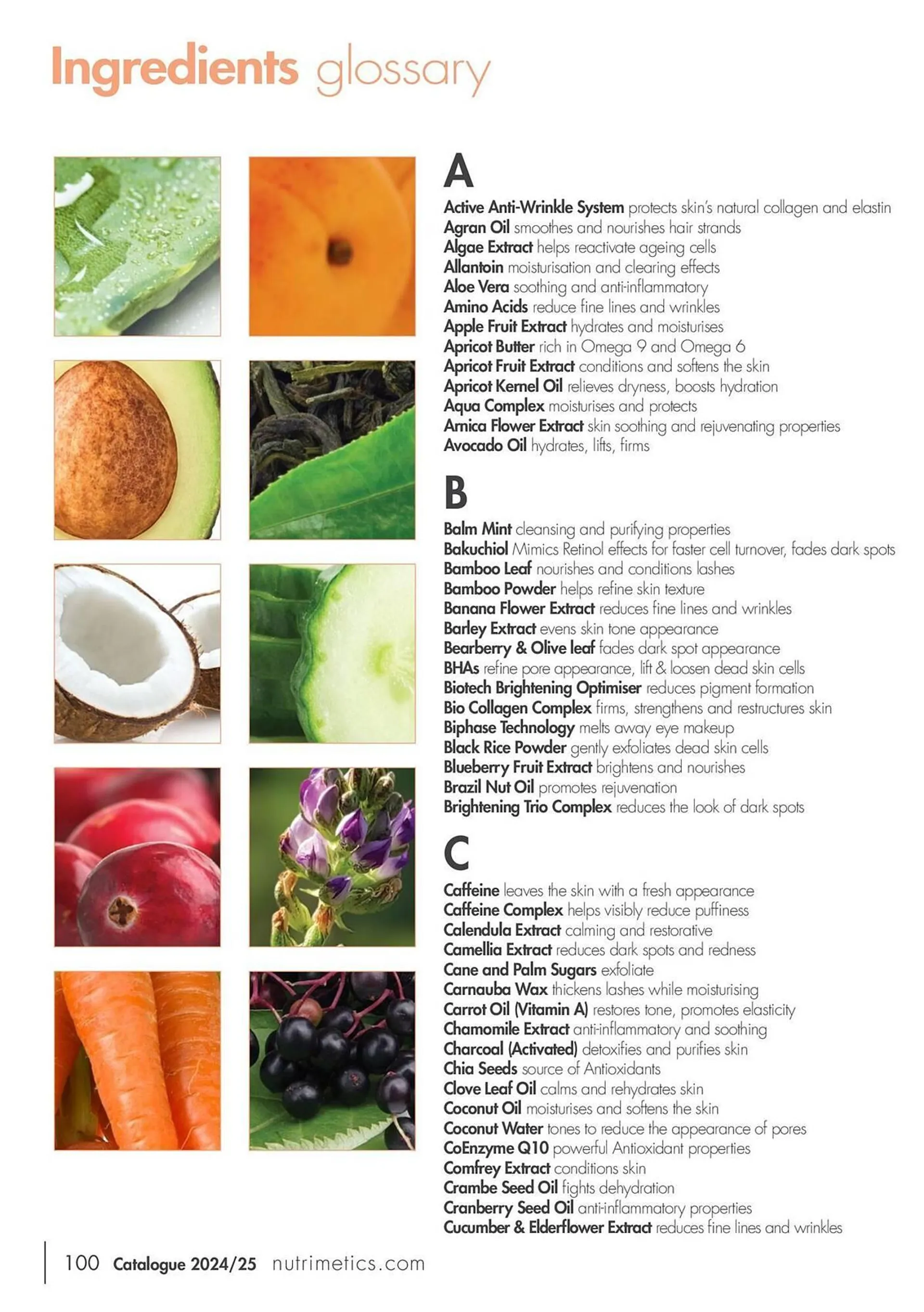 Nutrimetics catalogue - Catalogue valid from 7 August to 31 December 2025 - page 100