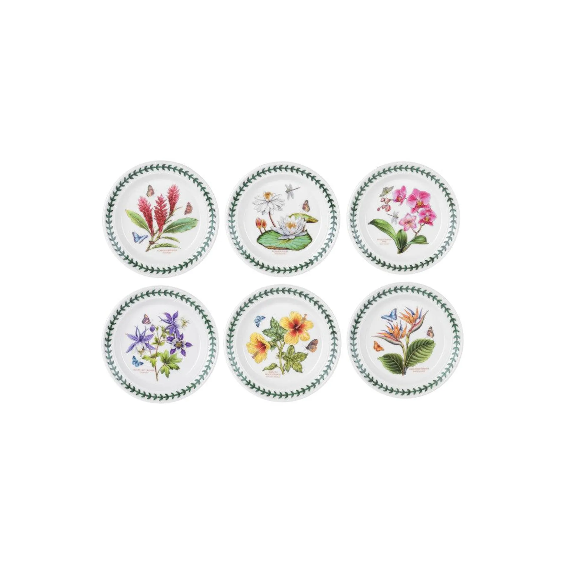 Portmeirion Exotic Botanic Garden Bread & Butter Plate Assorted 18.5cm (price per item)