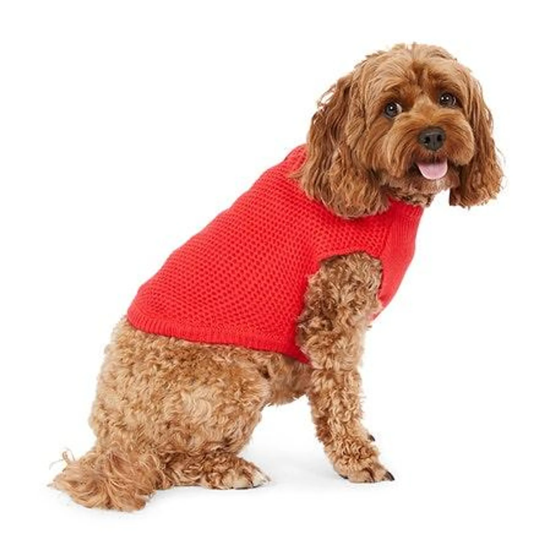 All Day Waffle Henley Dog Knit Red