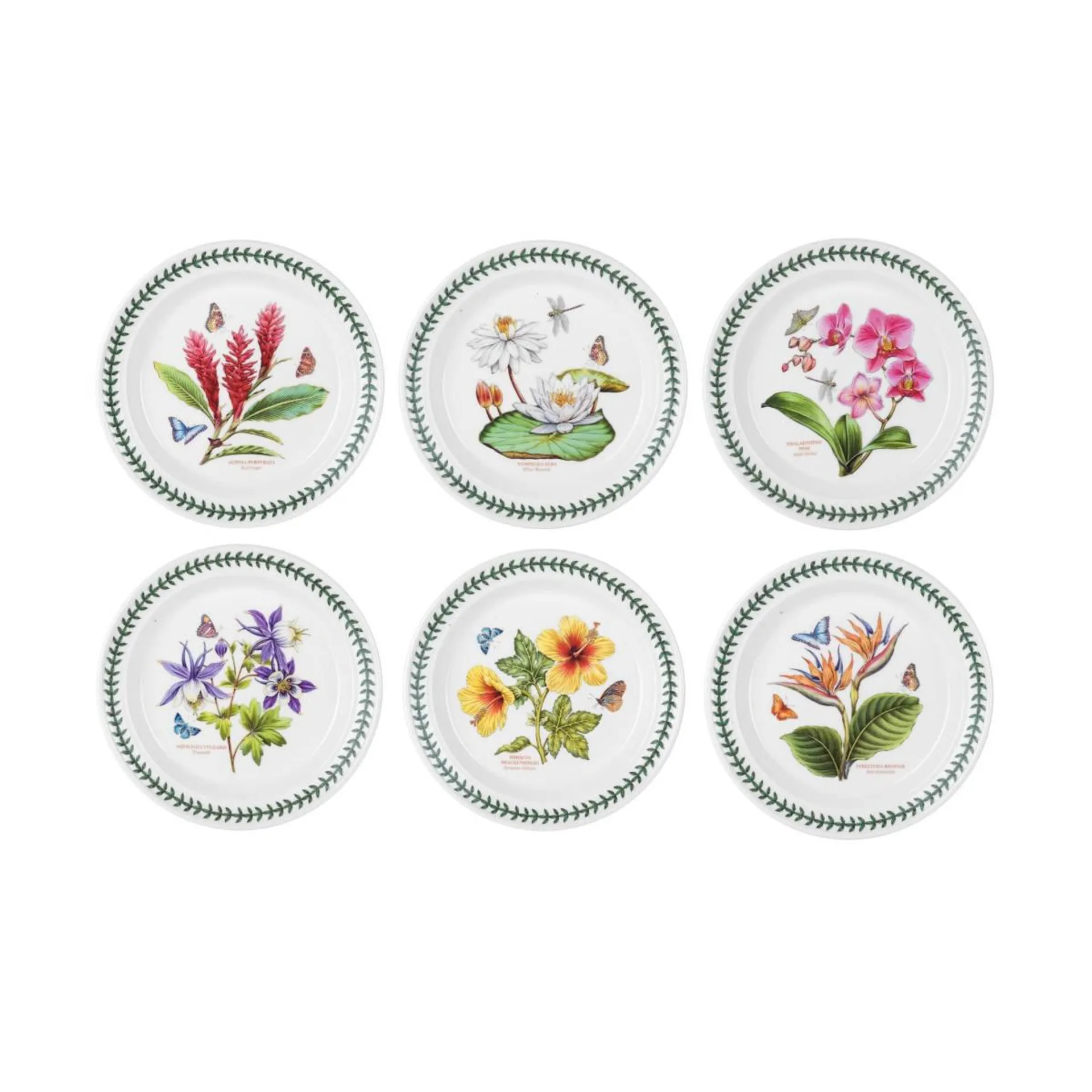 Portmeirion Exotic Botanic Garden Dinner Plate Assorted 26.5cm (price per item)