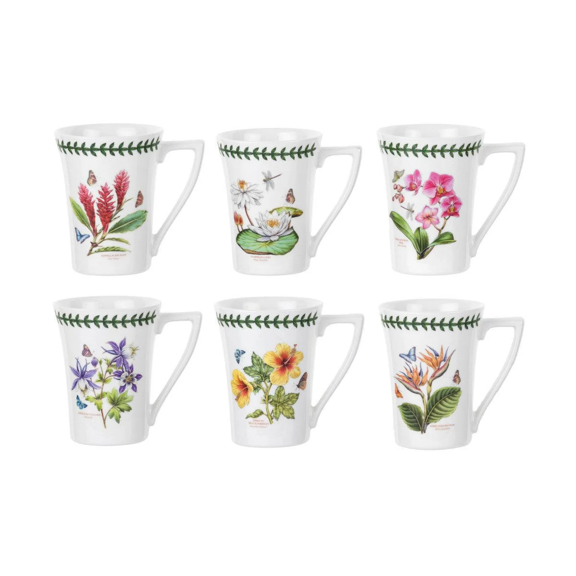 Portmeirion Exotic Botanic Garden Mandarin Mug Assorted 280ml (price per item)