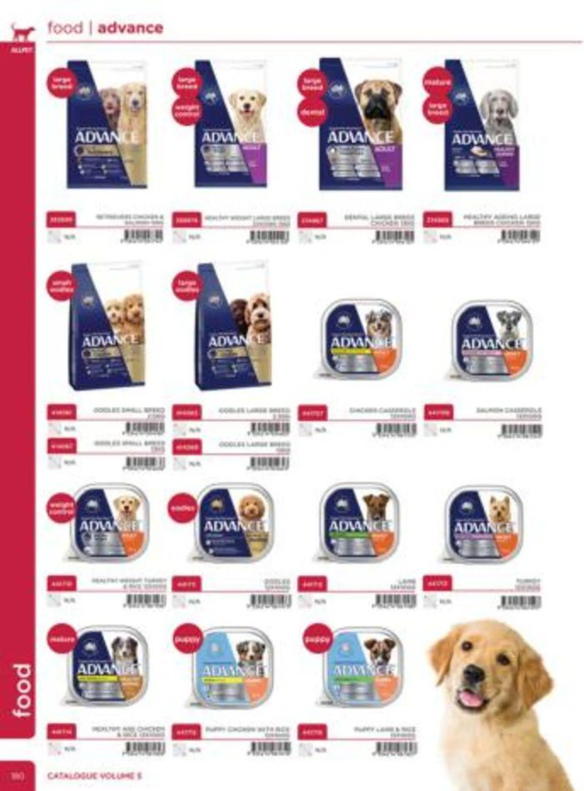 Dog Catalogue 2024 - Catalogue valid from 4 January to 31 December 2024 - page 178