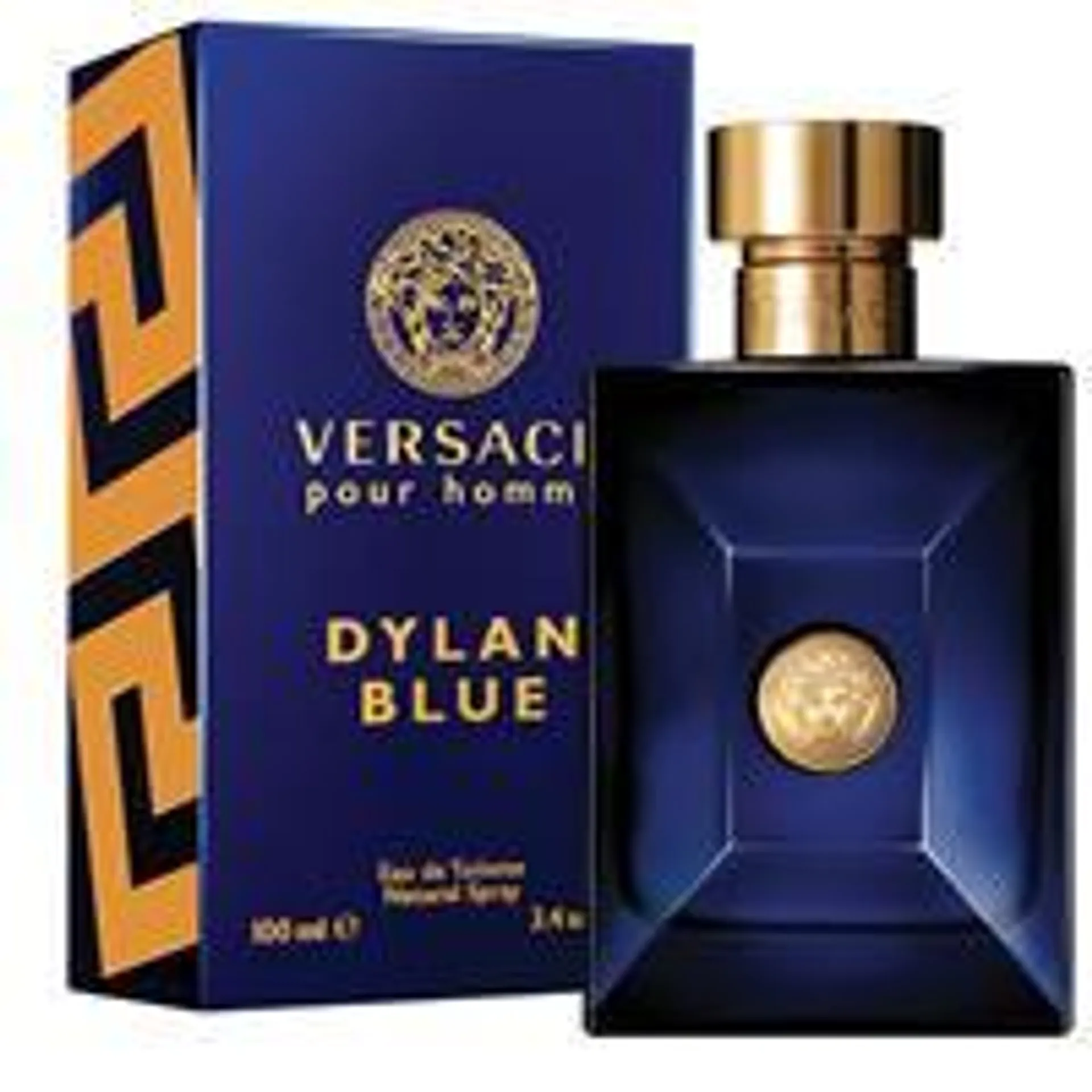 Versace Dylan Blue Eau de Toilette 100ml