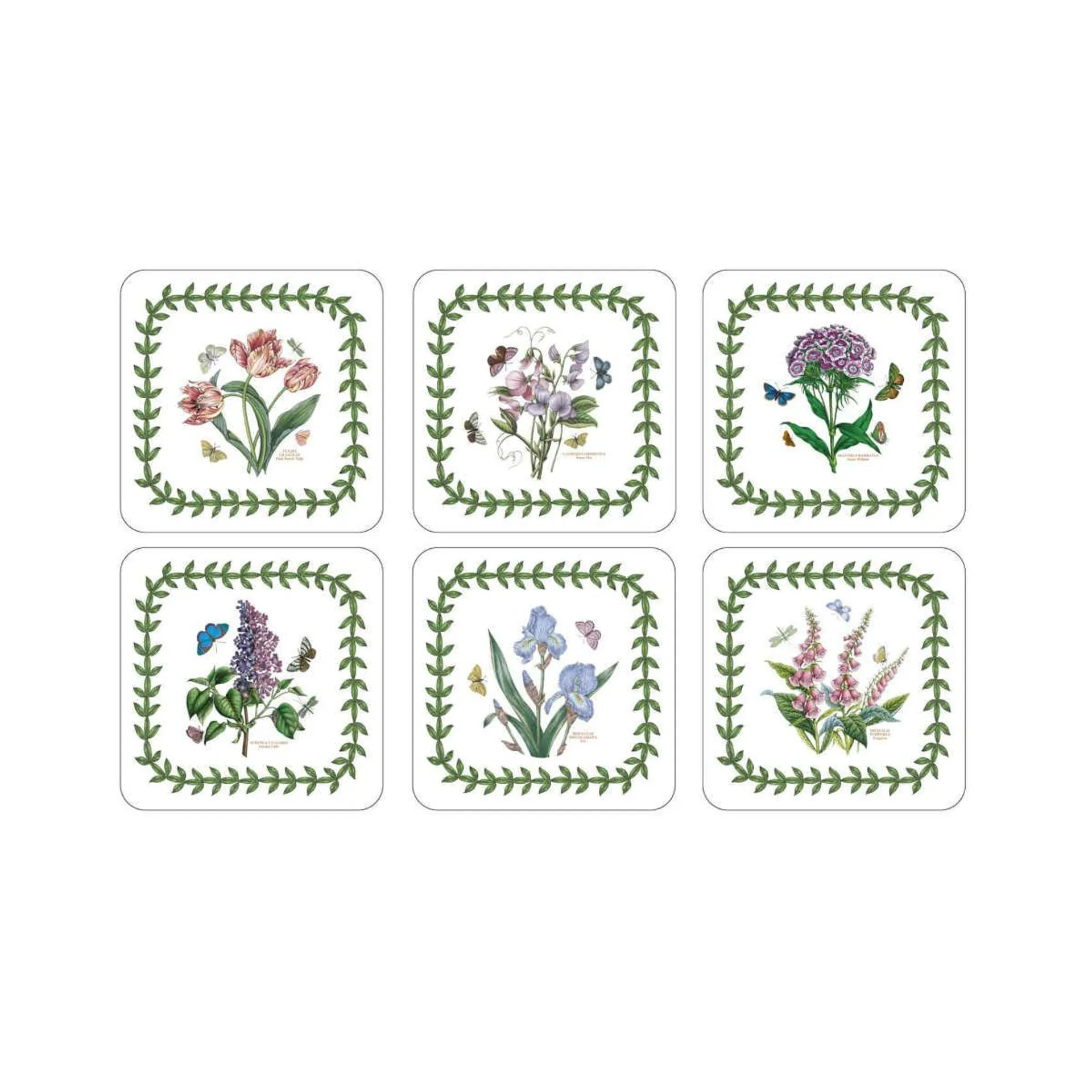 Pimpernel Botanic Garden Coasters Set of 6