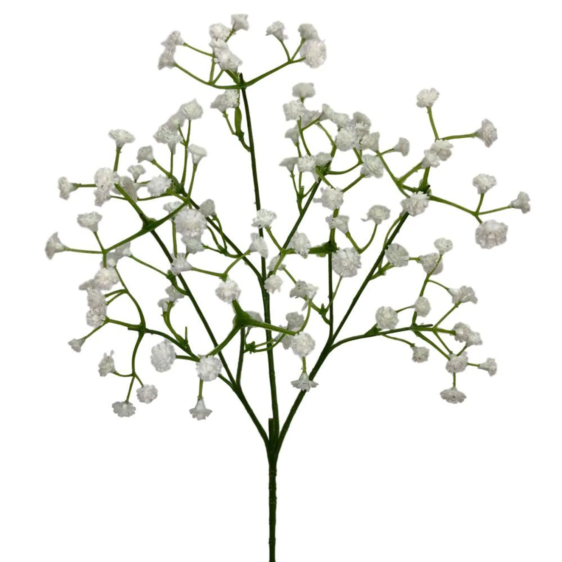 Gypsophila Spray 50Cm White