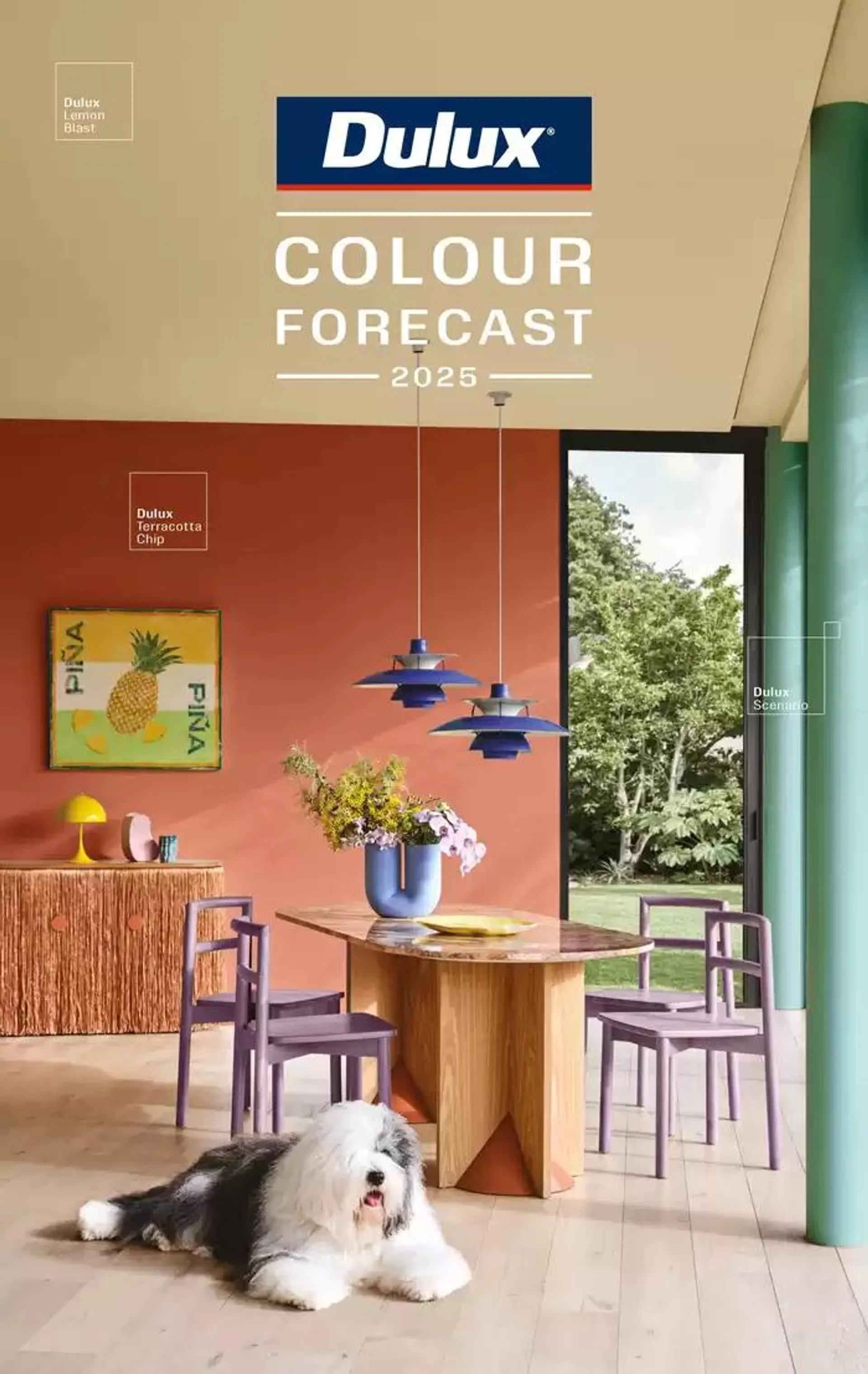 Colour Forecast 2025 - 1