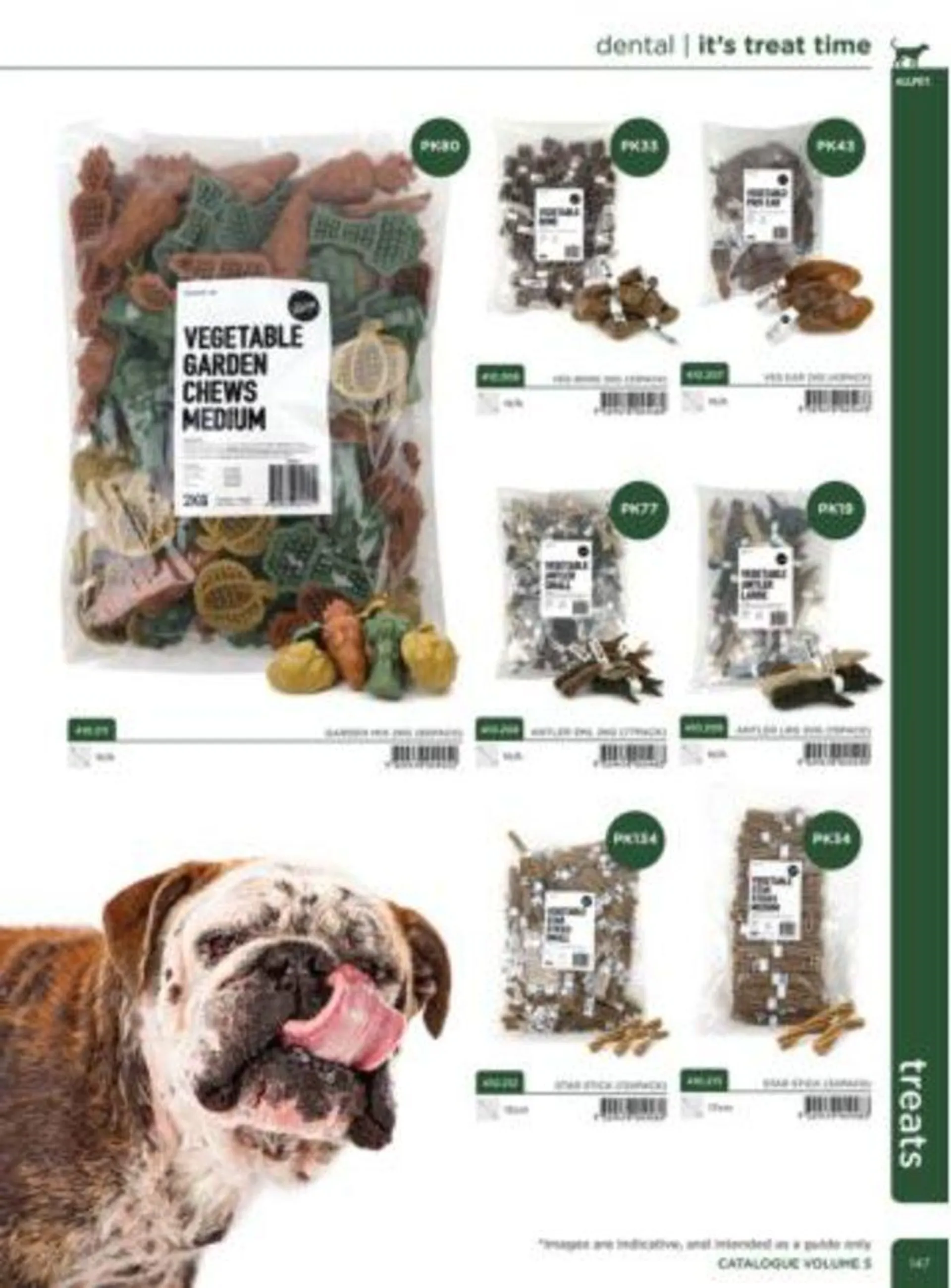 Dog Catalogue 2024 - Catalogue valid from 4 January to 31 December 2024 - page 145