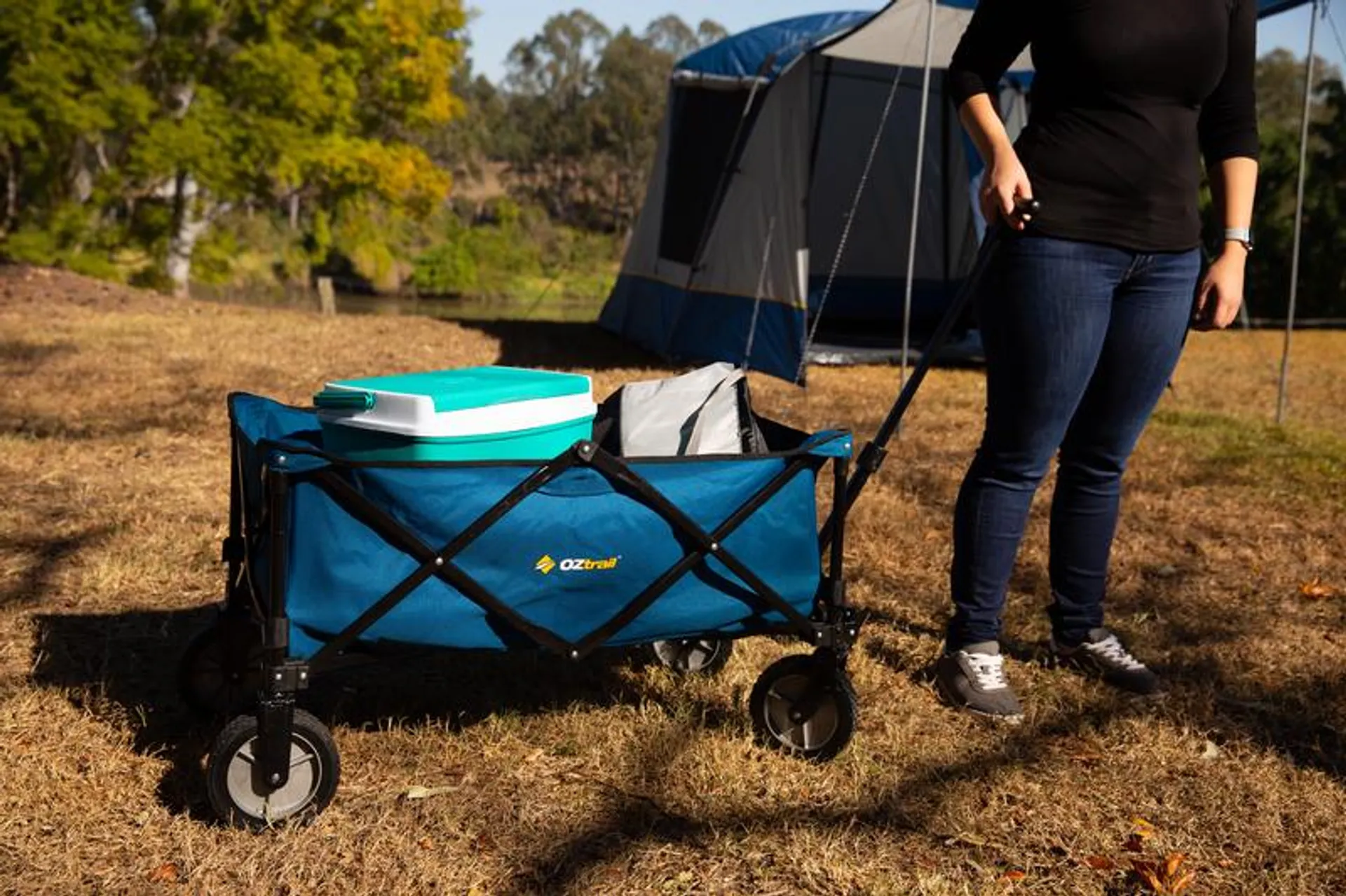 Collapsible Camp Wagon