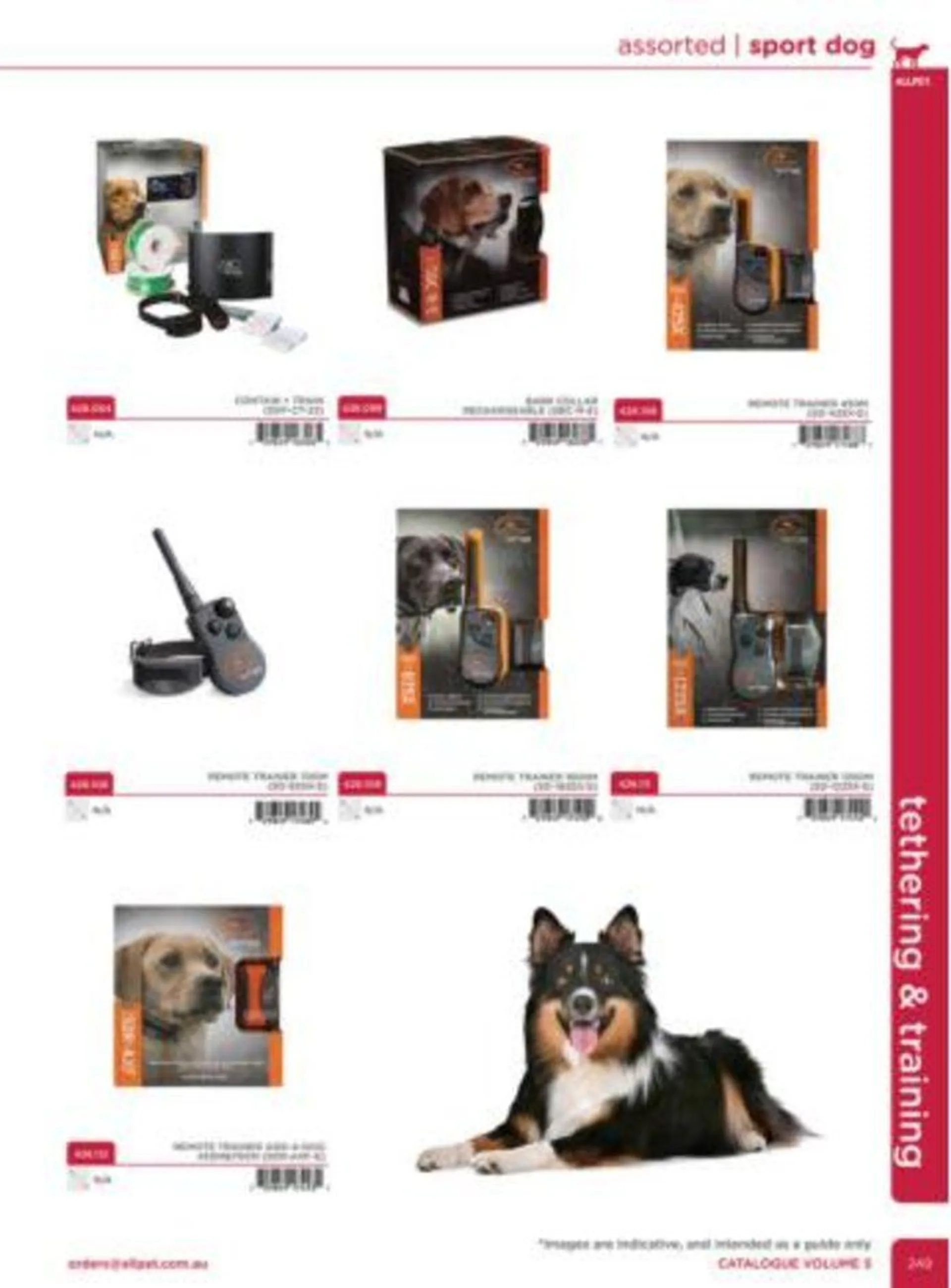 Dog Catalogue 2024 - Catalogue valid from 4 January to 31 December 2024 - page 247