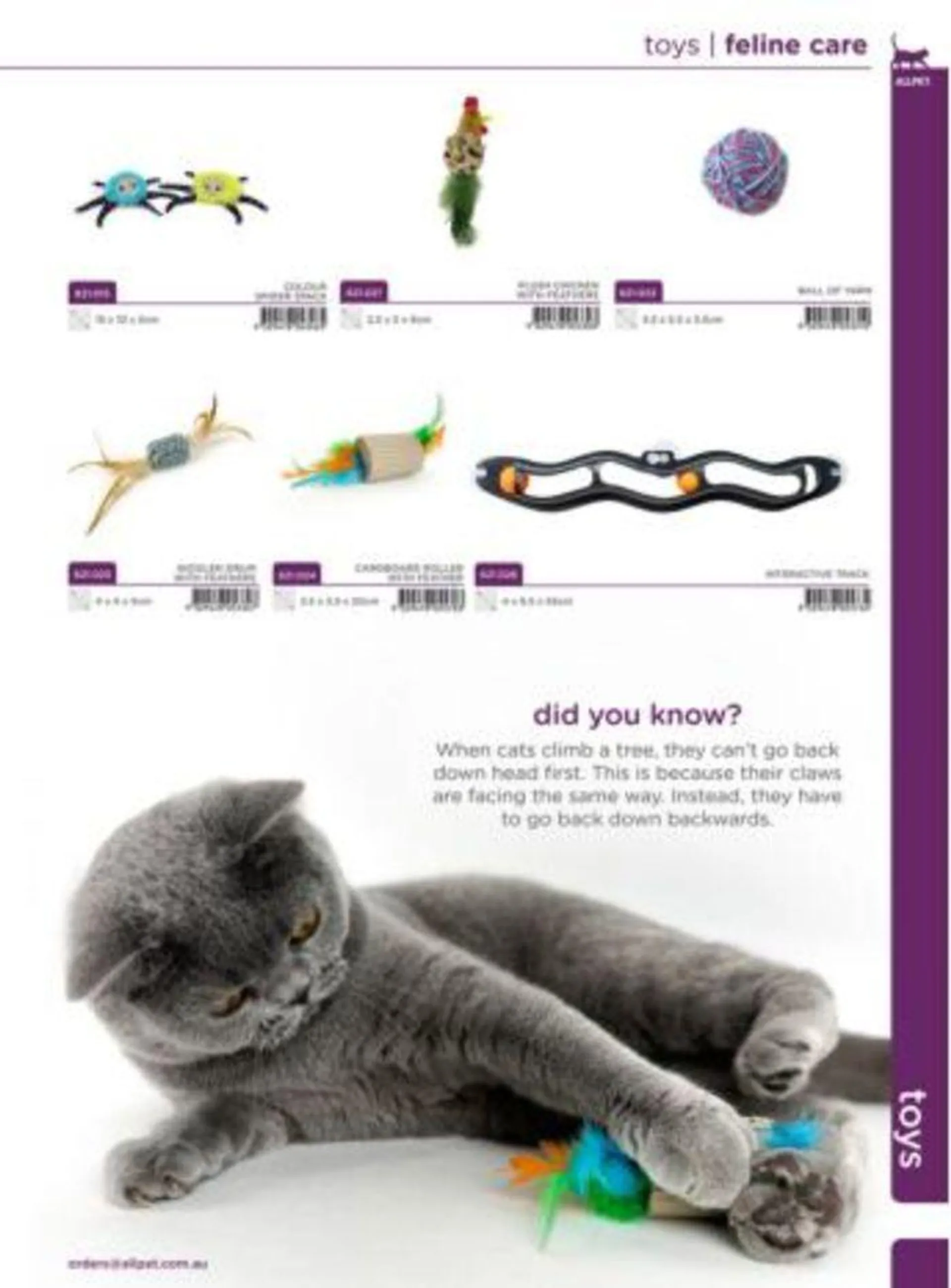 Cat Catalogue 2024 - Catalogue valid from 4 January to 31 December 2024 - page 19