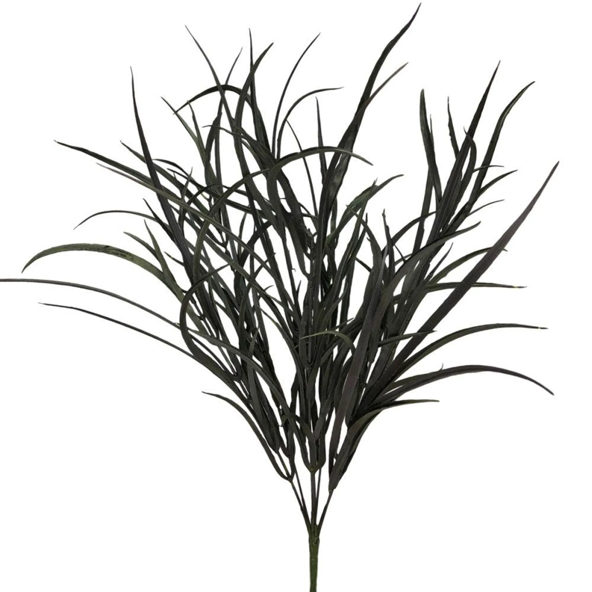 Onion Grass 63cm