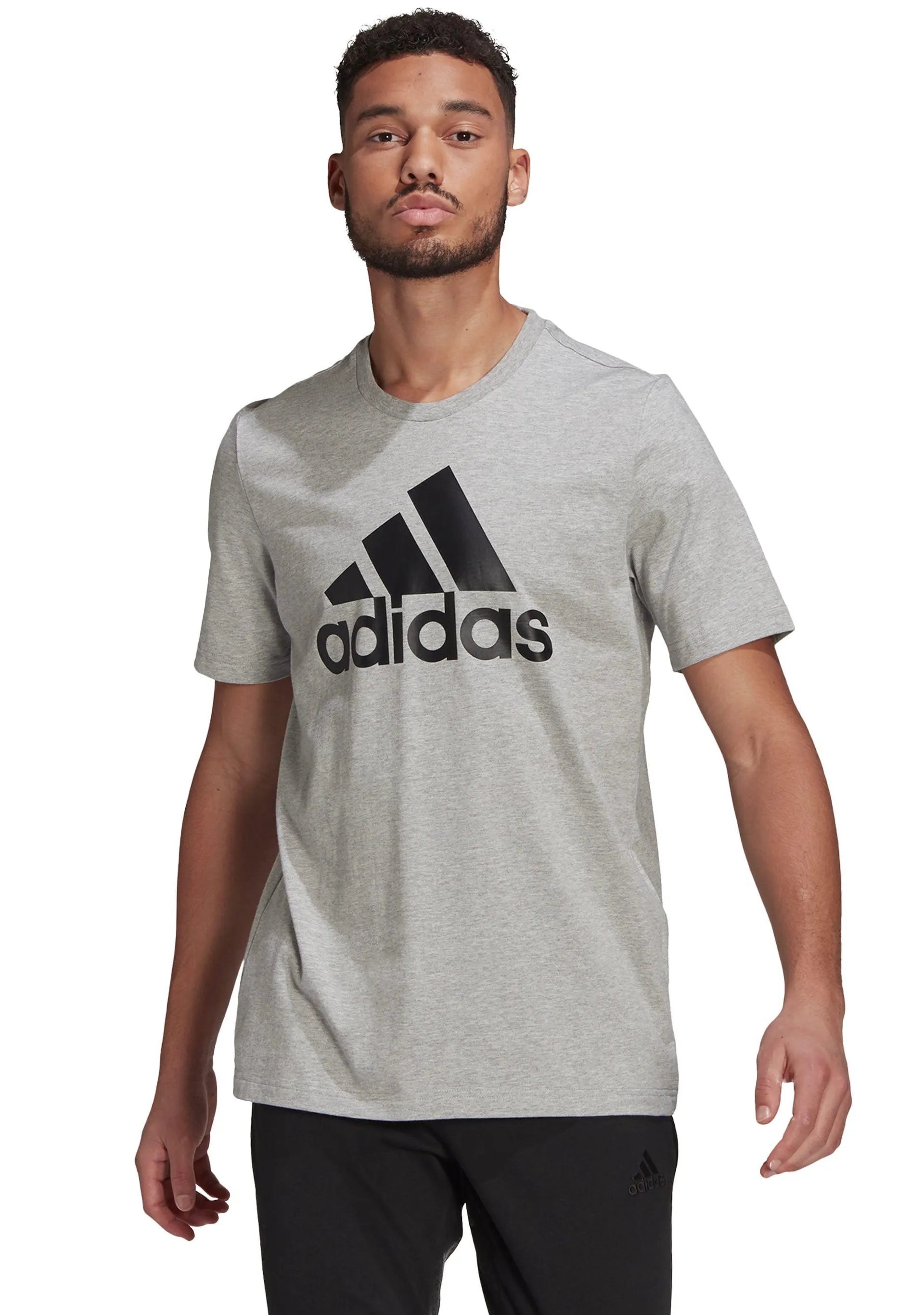 Adidas Mens Essentials Big Logo Tee Grey GK9123