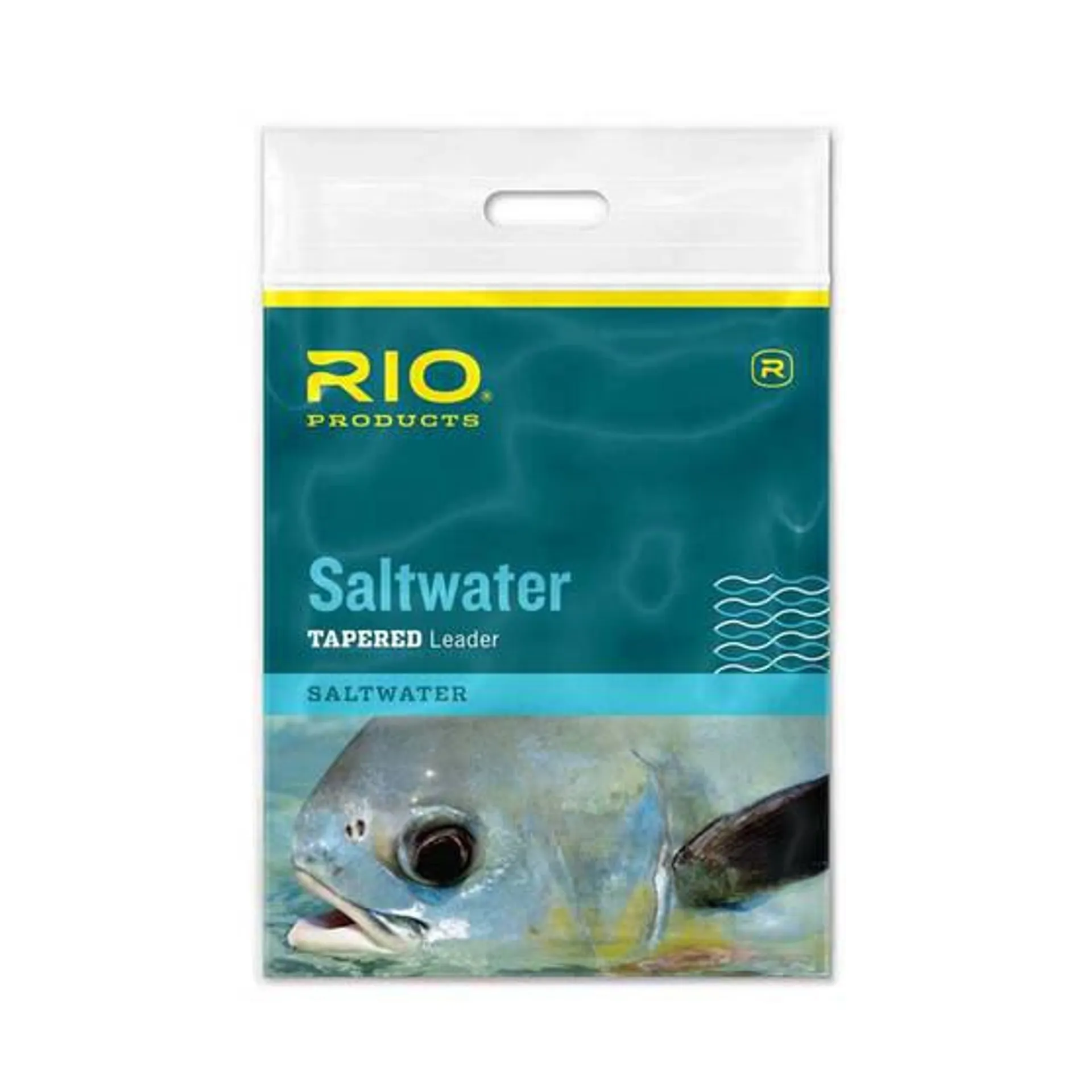 Rio Saltwater Knotless Fly Leader 10ft