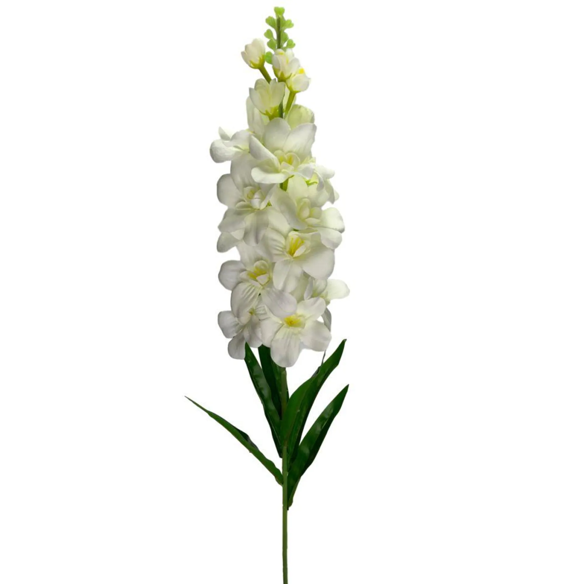 Delphinium 92cm White