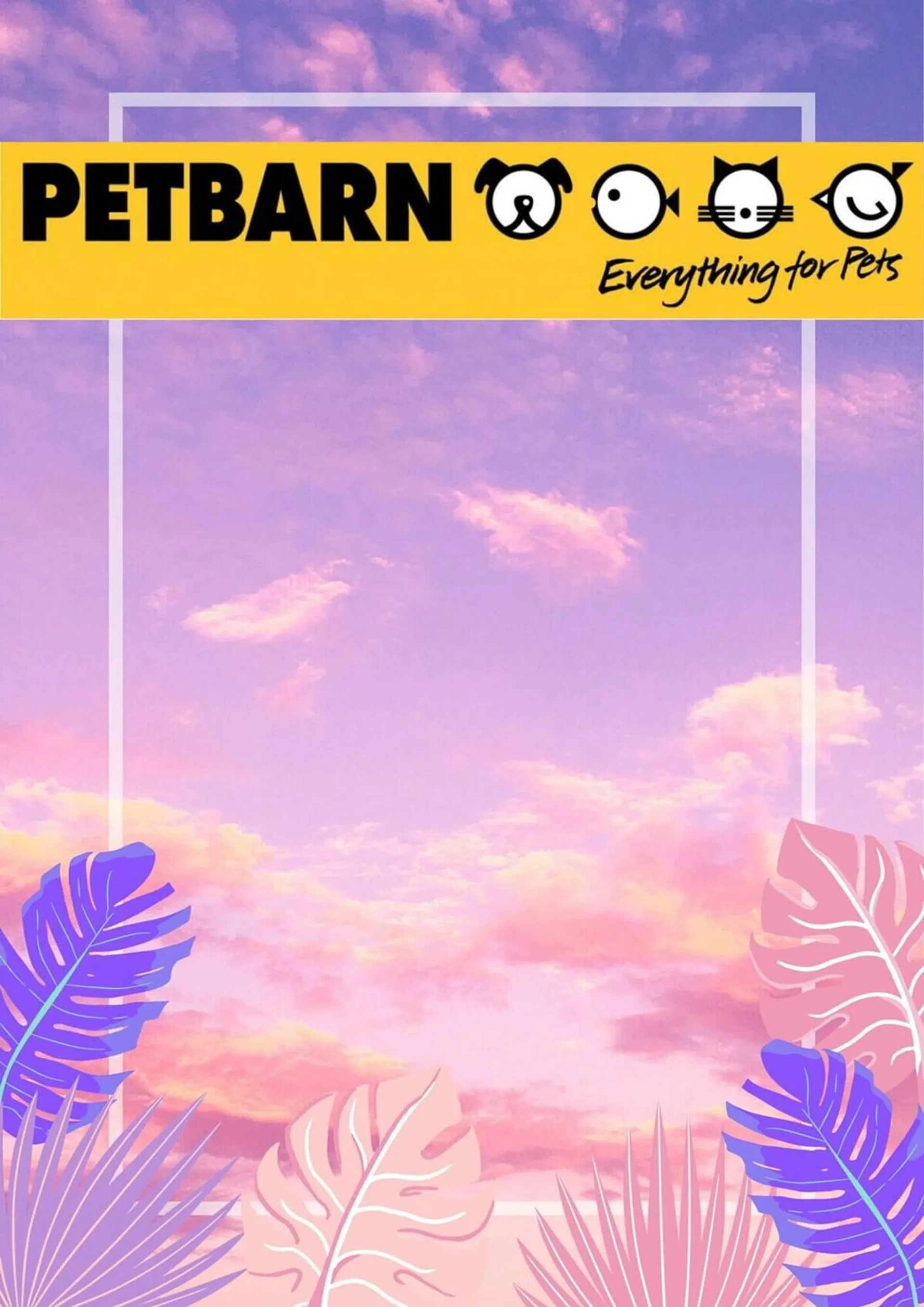 Petbarn catalogue - 1