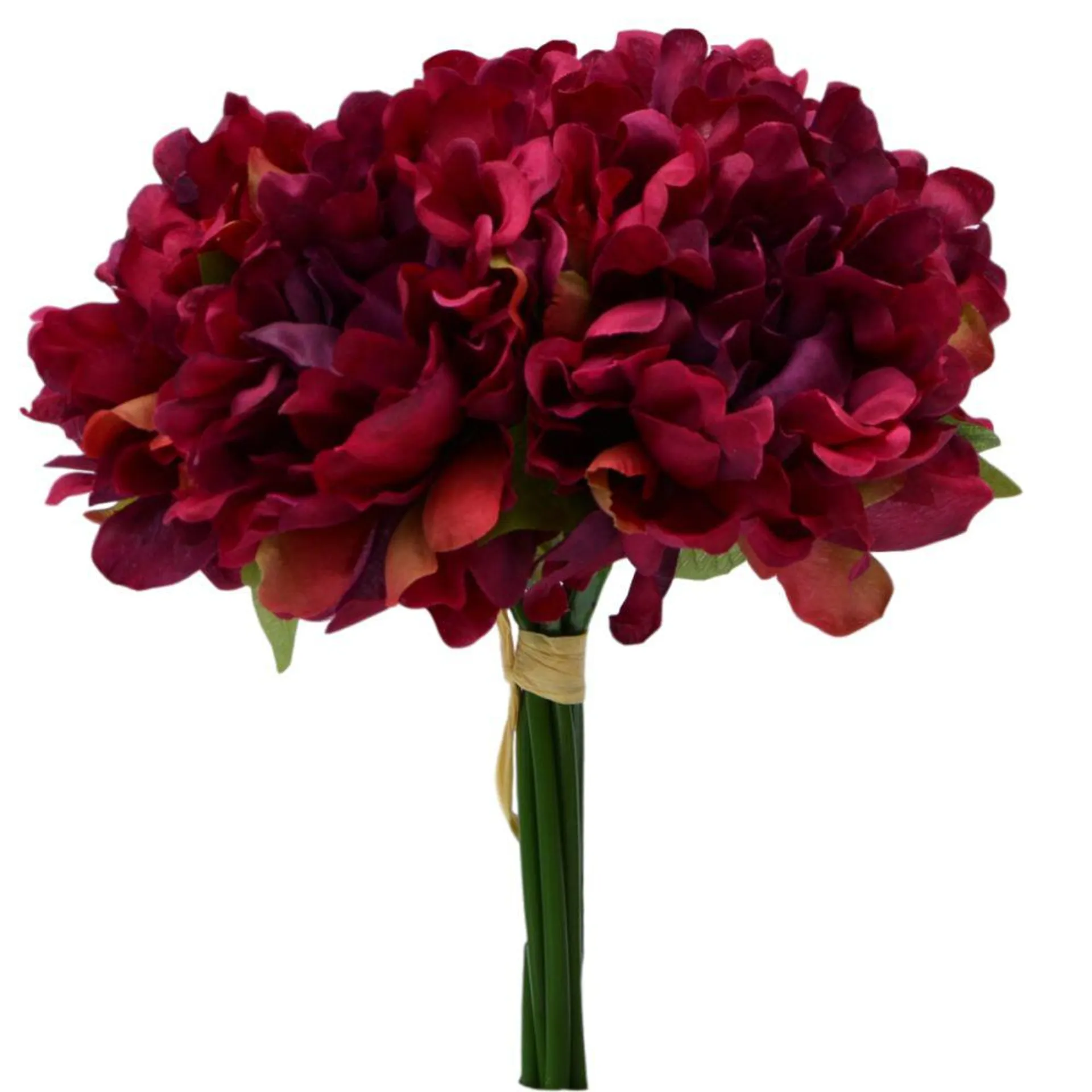 Flute Open Peony Bundle 25Cm