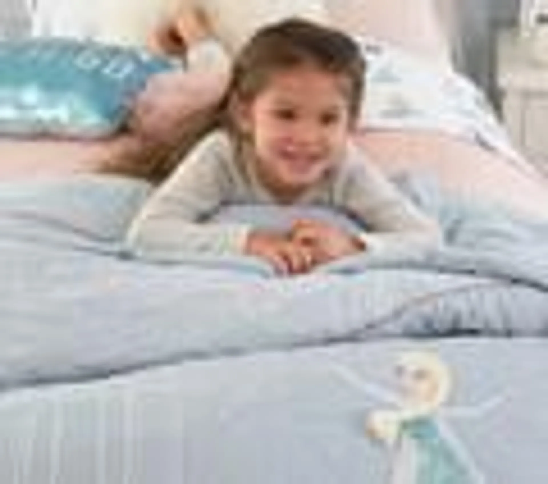 Disney Frozen Comforter & Pillowcases