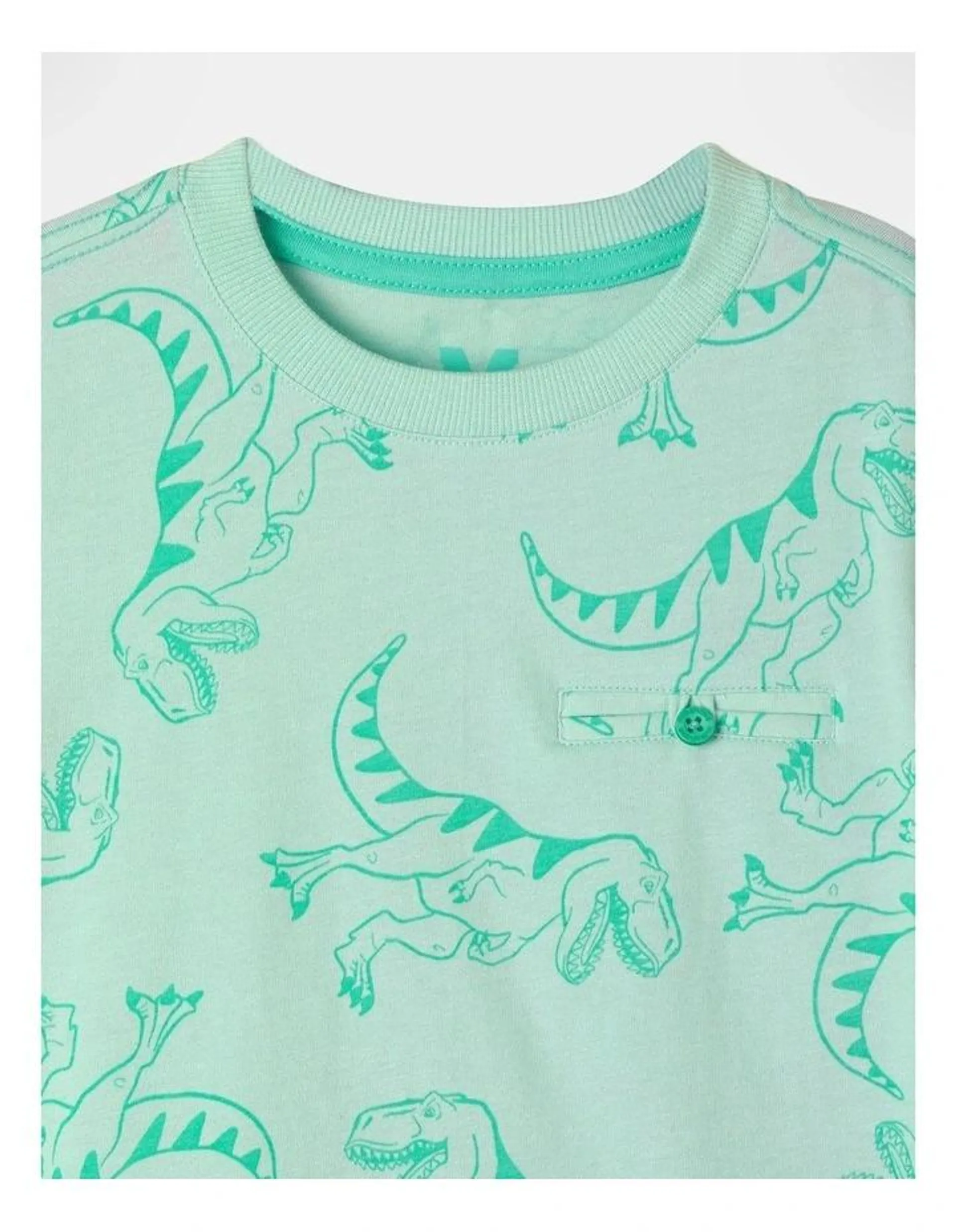 Printed T-Shirt in Mint