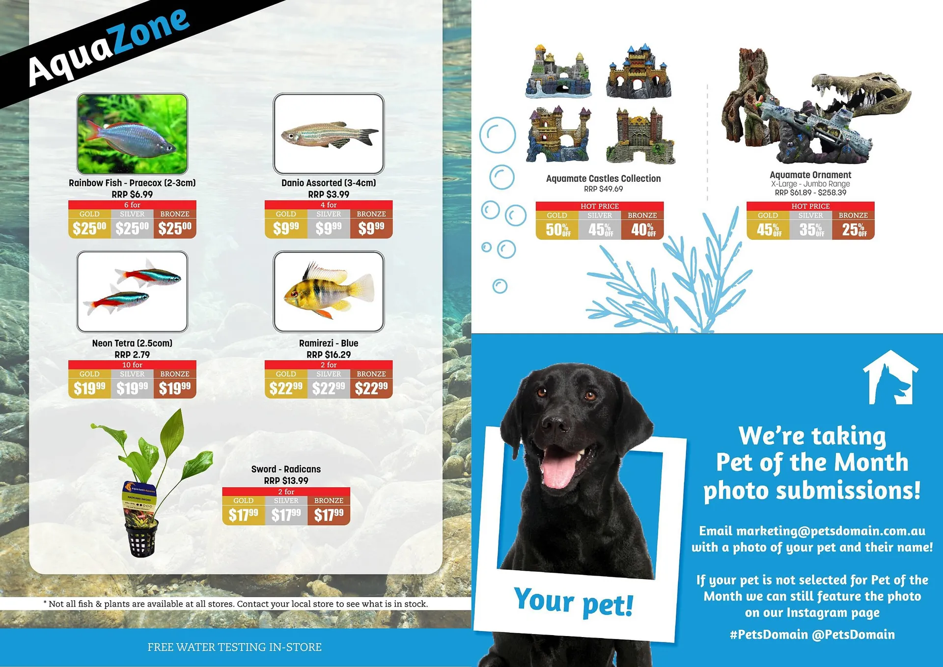 Pets Domain catalogue - Catalogue valid from 27 March to 30 April 2024 - page 12
