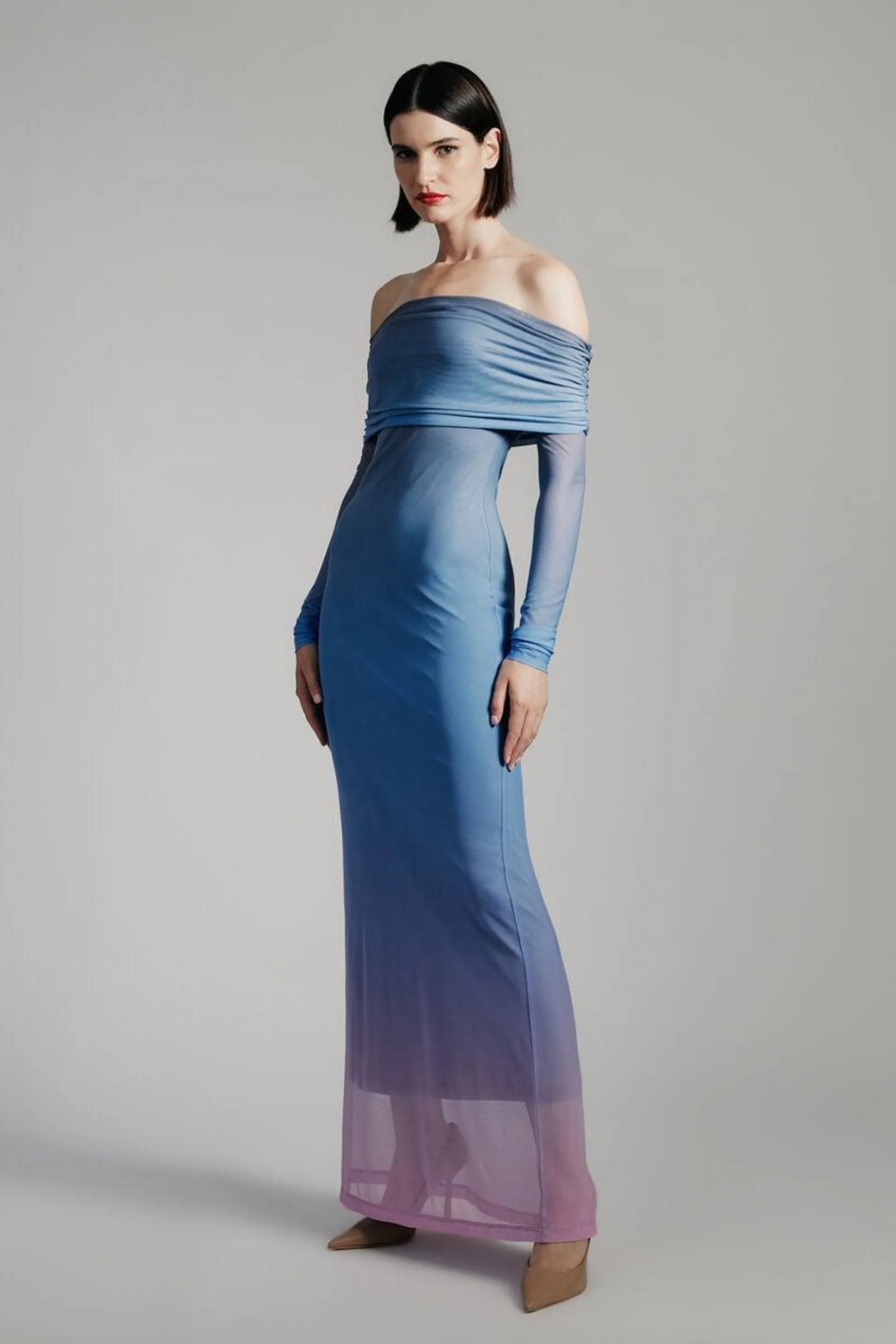 saphia mesh maxi dress in blue/pink