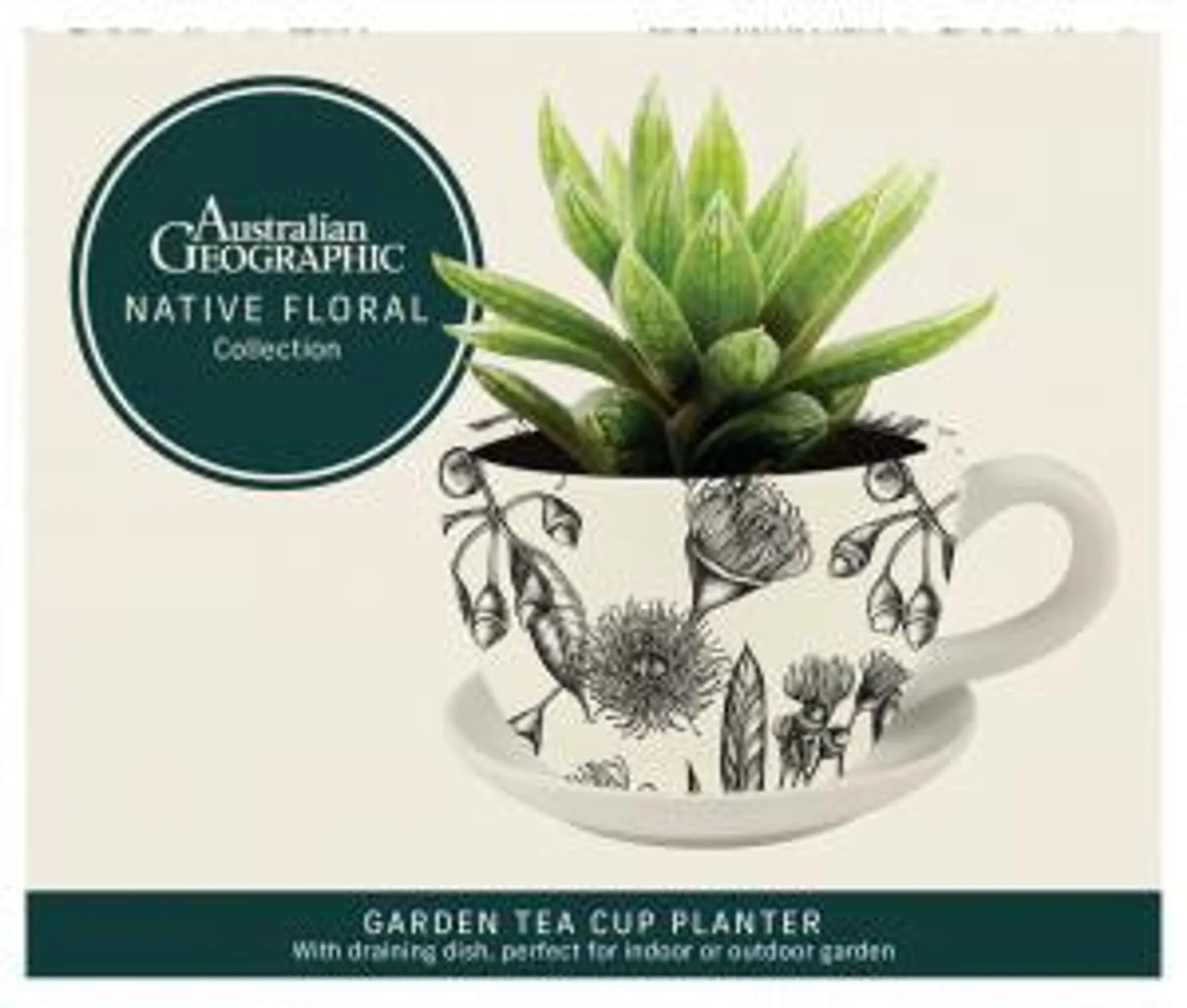 Australian Geographic B&W Botanical: Tea Cup Planter