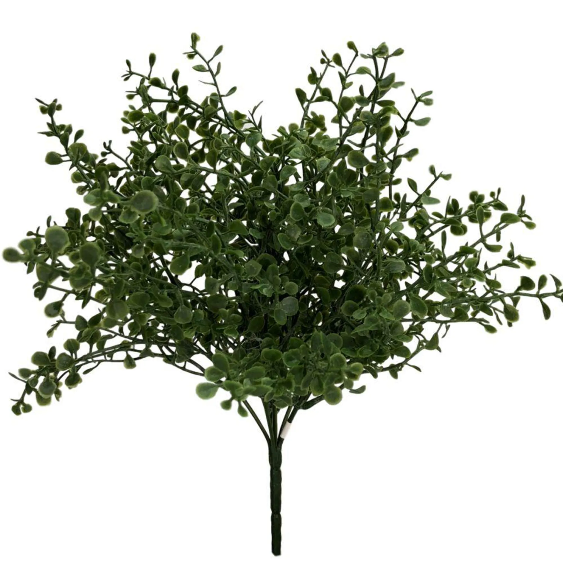 Silver Falls Bush 32cm