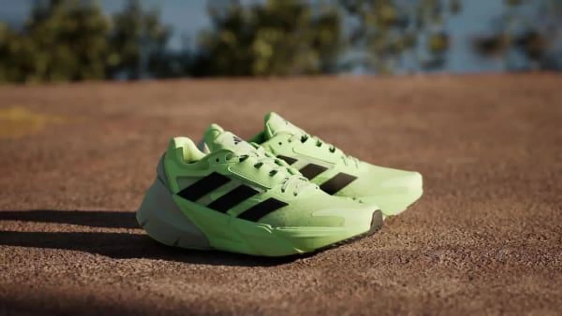 Adistar 2.0 Shoes