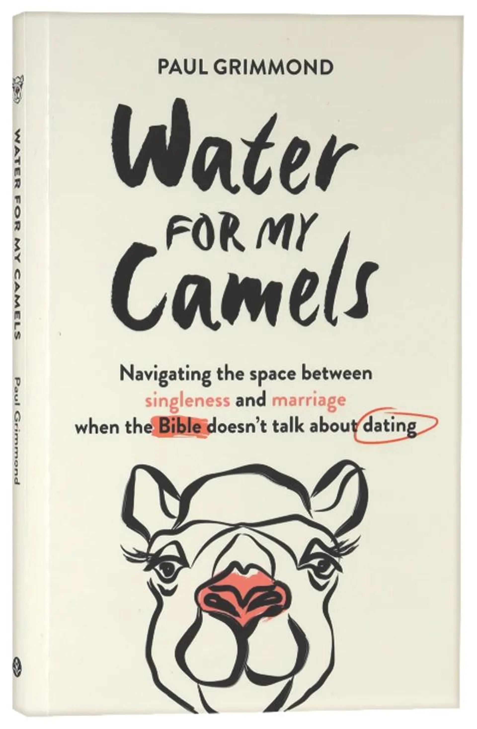 Water For My Camels: Navigating the Space Between Singleness and Marriage When the Bible Doesn't Talk About Dating