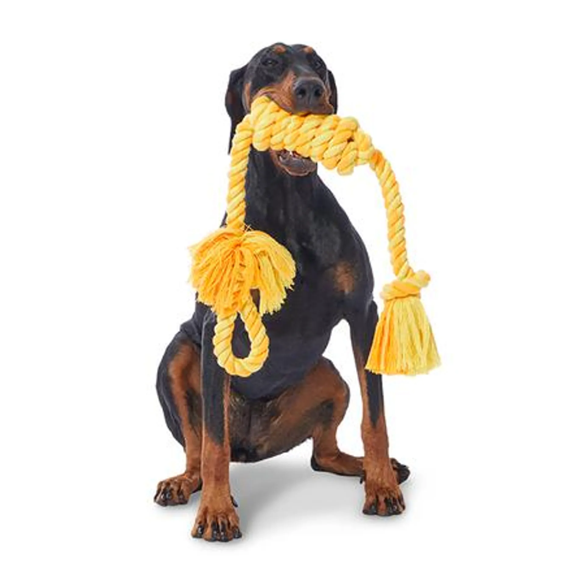 All Day Twisted Rope Tug With Handle Dog Toy Orange 83cm