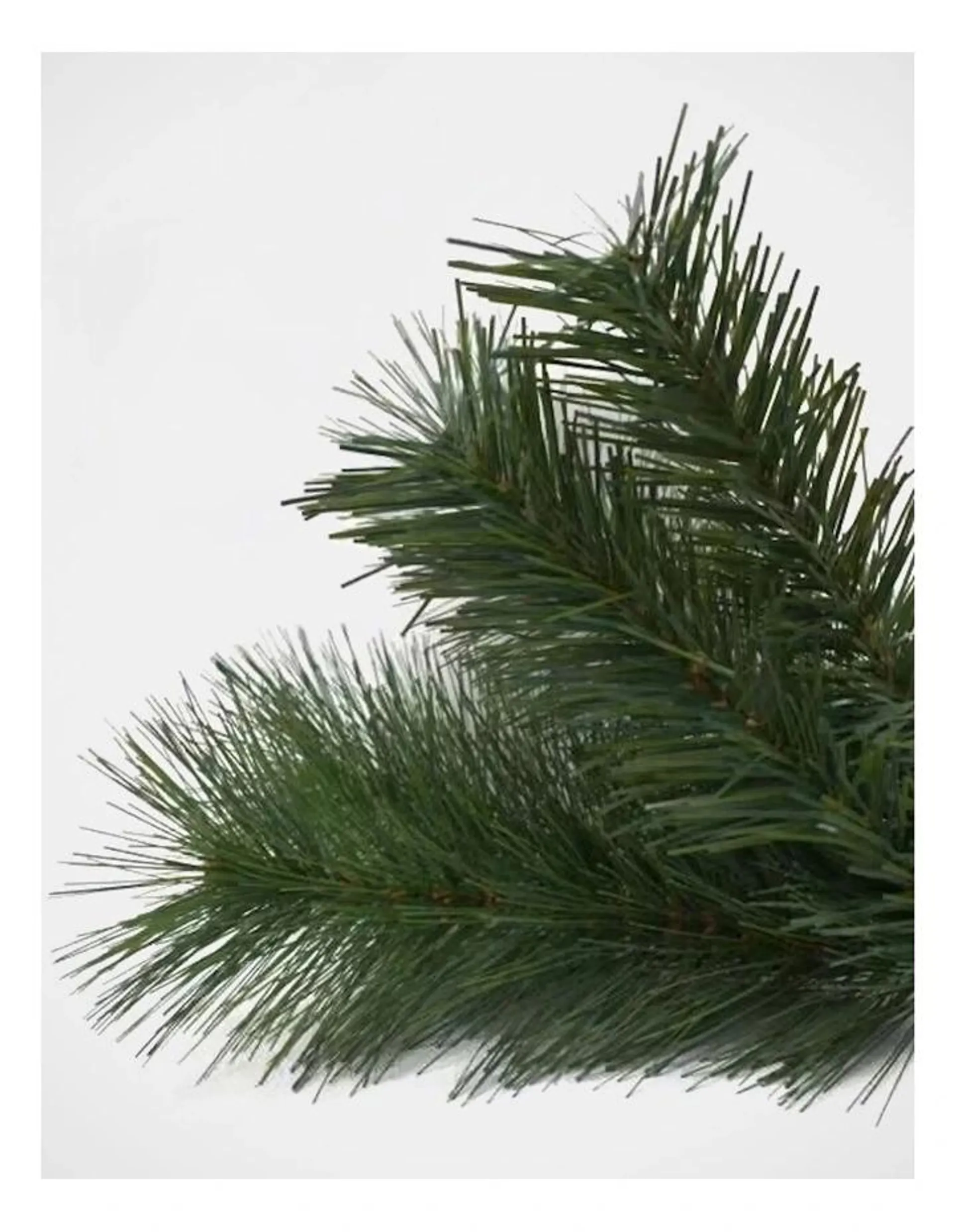 Deluxe Reno 240cm Pine Tree 1201 tips in Green