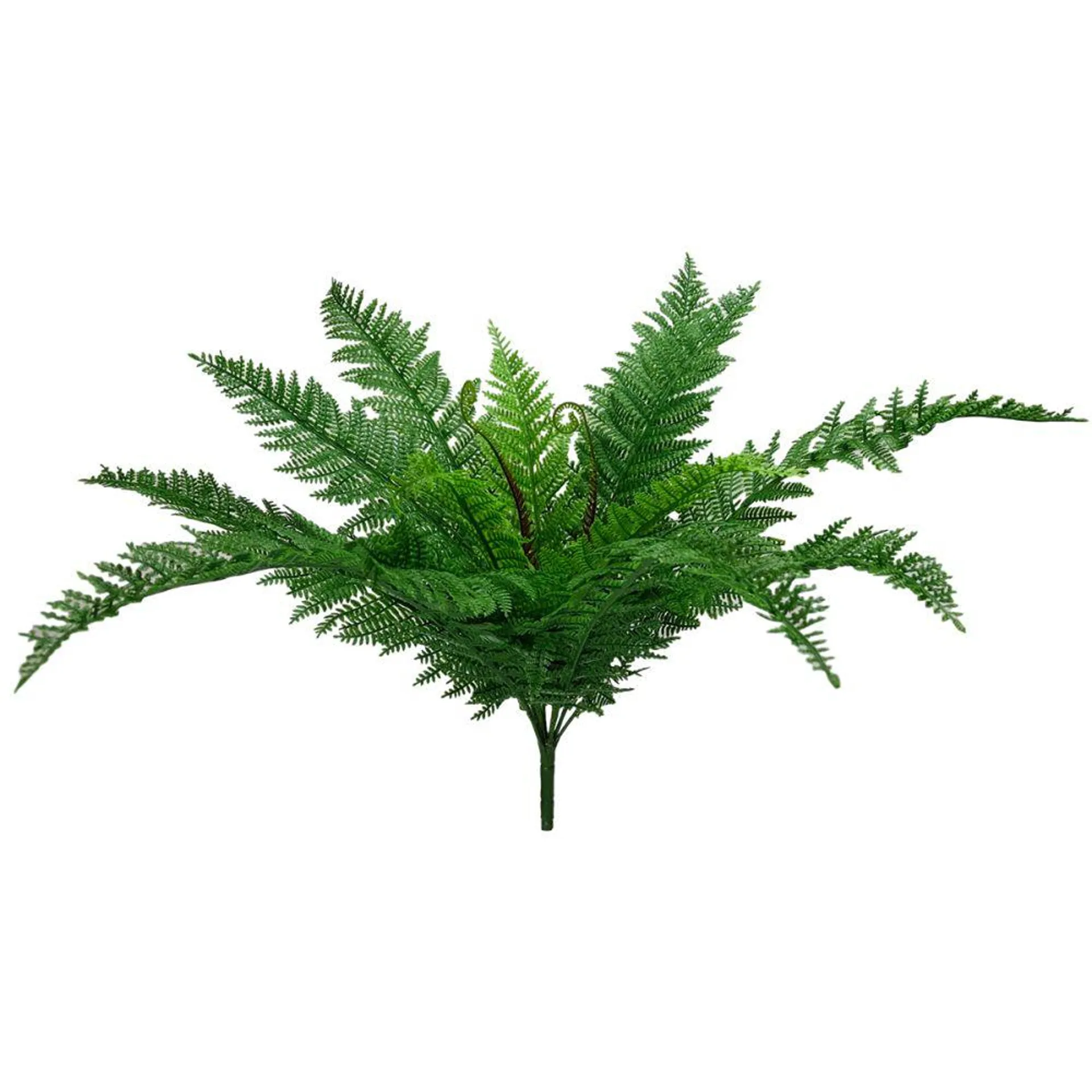 FERN LEATHER BUSH 57CM