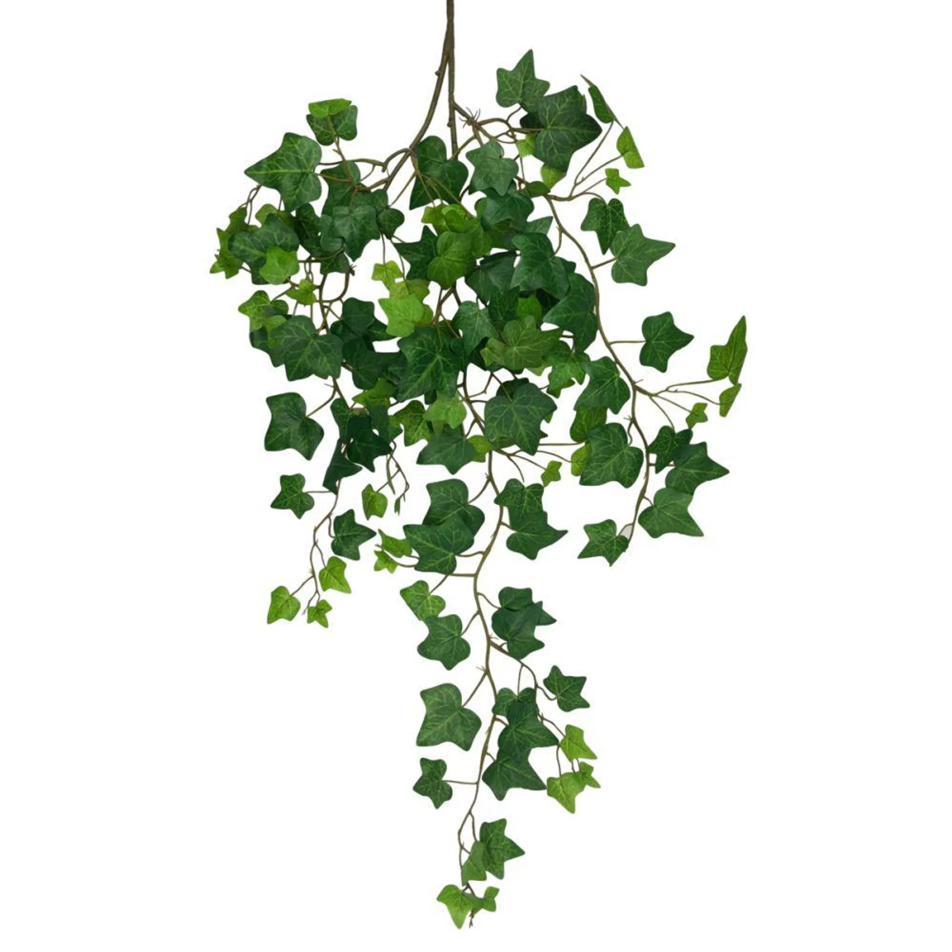 Ivy Vine Hanging 105cm