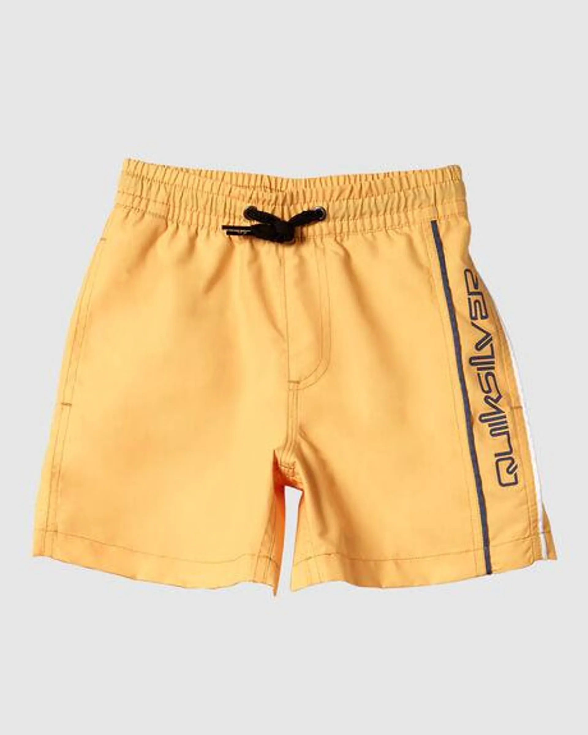 Boys 2-7 Everyday Vert Volley Swim Shorts