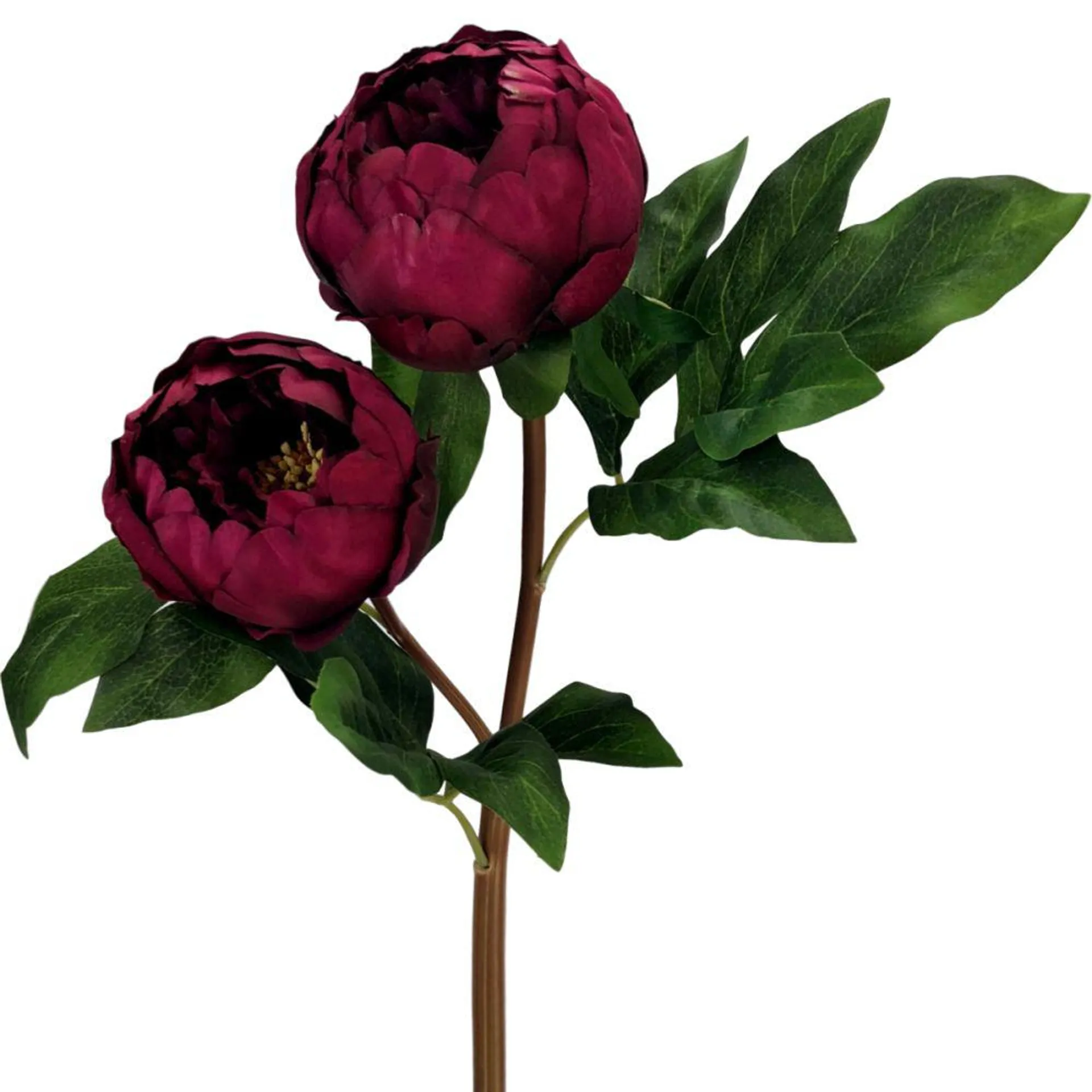 Peony Patricia Spray 55cm