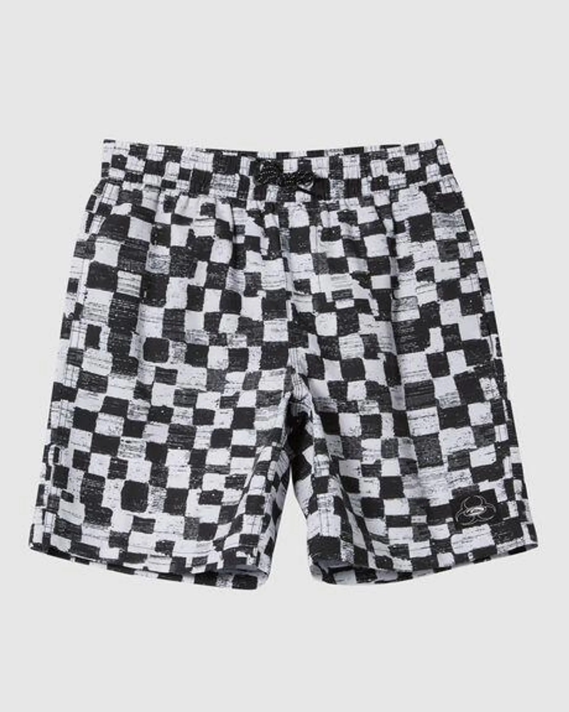 Boys 8-16 Everyday Checkers Swim Shorts