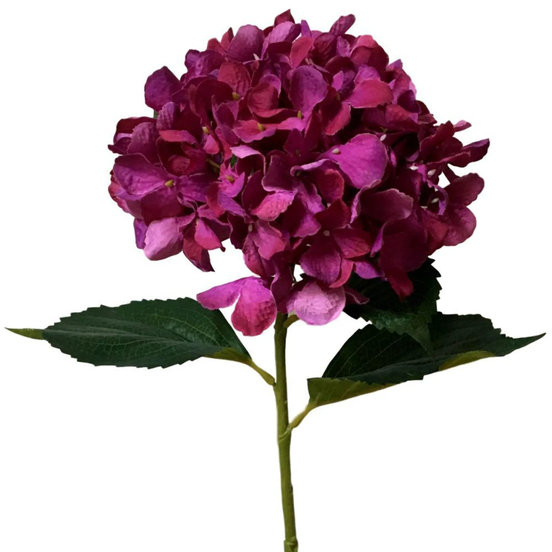 Hydrangea Stem 80cm