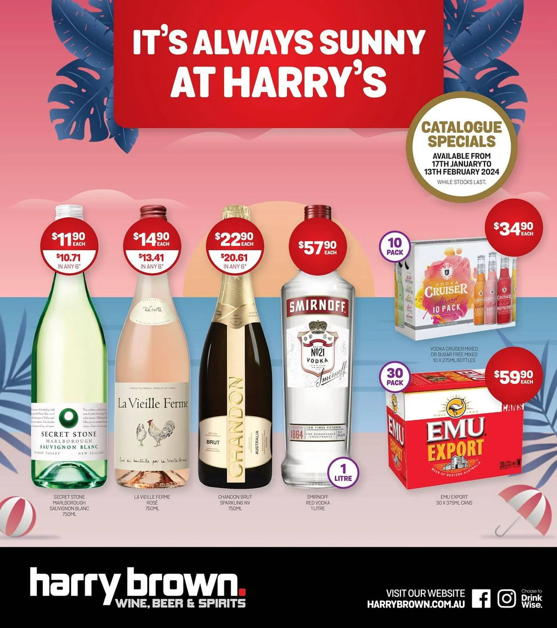 Harry Brown catalogue - Catalogue valid from 17 January to 13 February 2024 - page 1