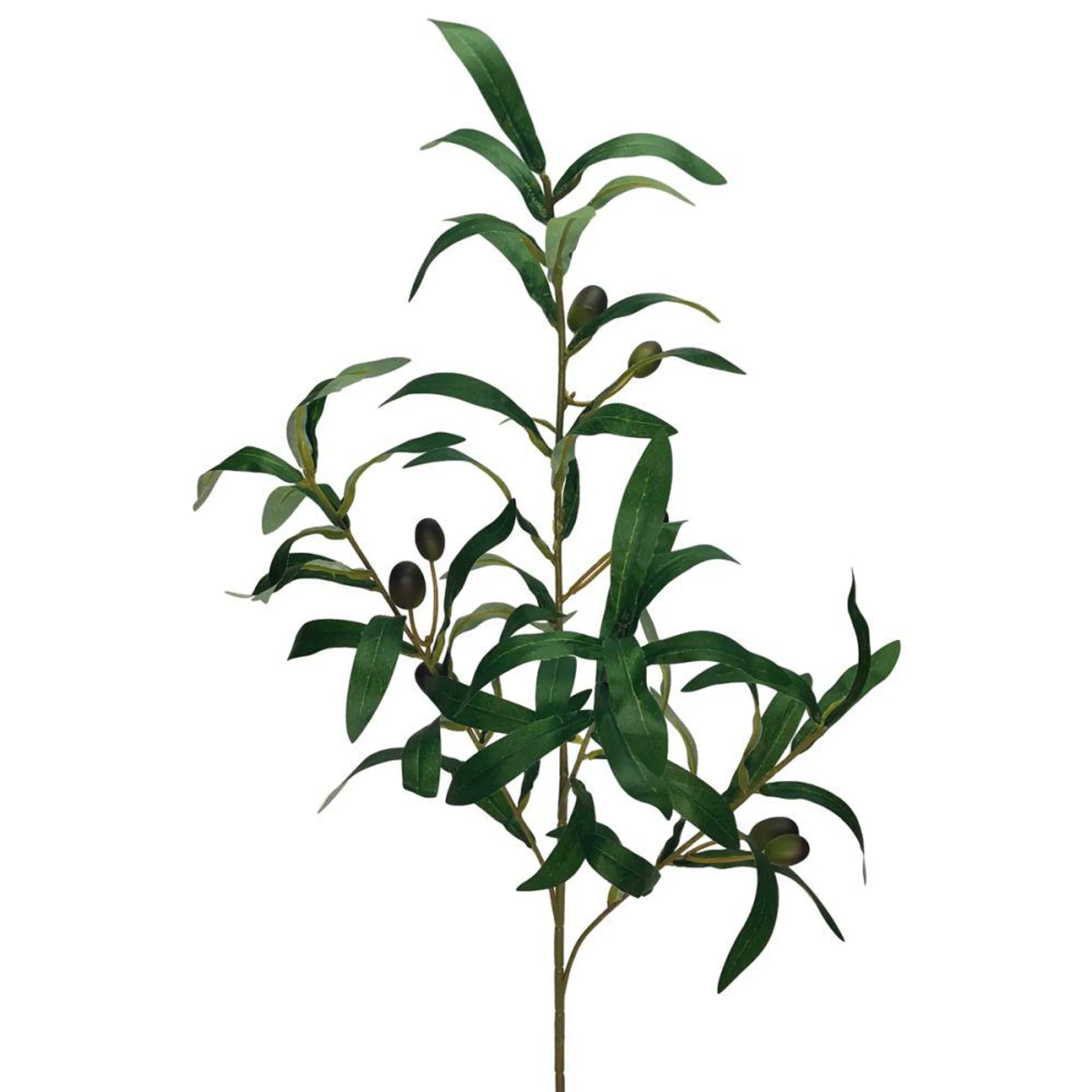 Olive Branch 78cm